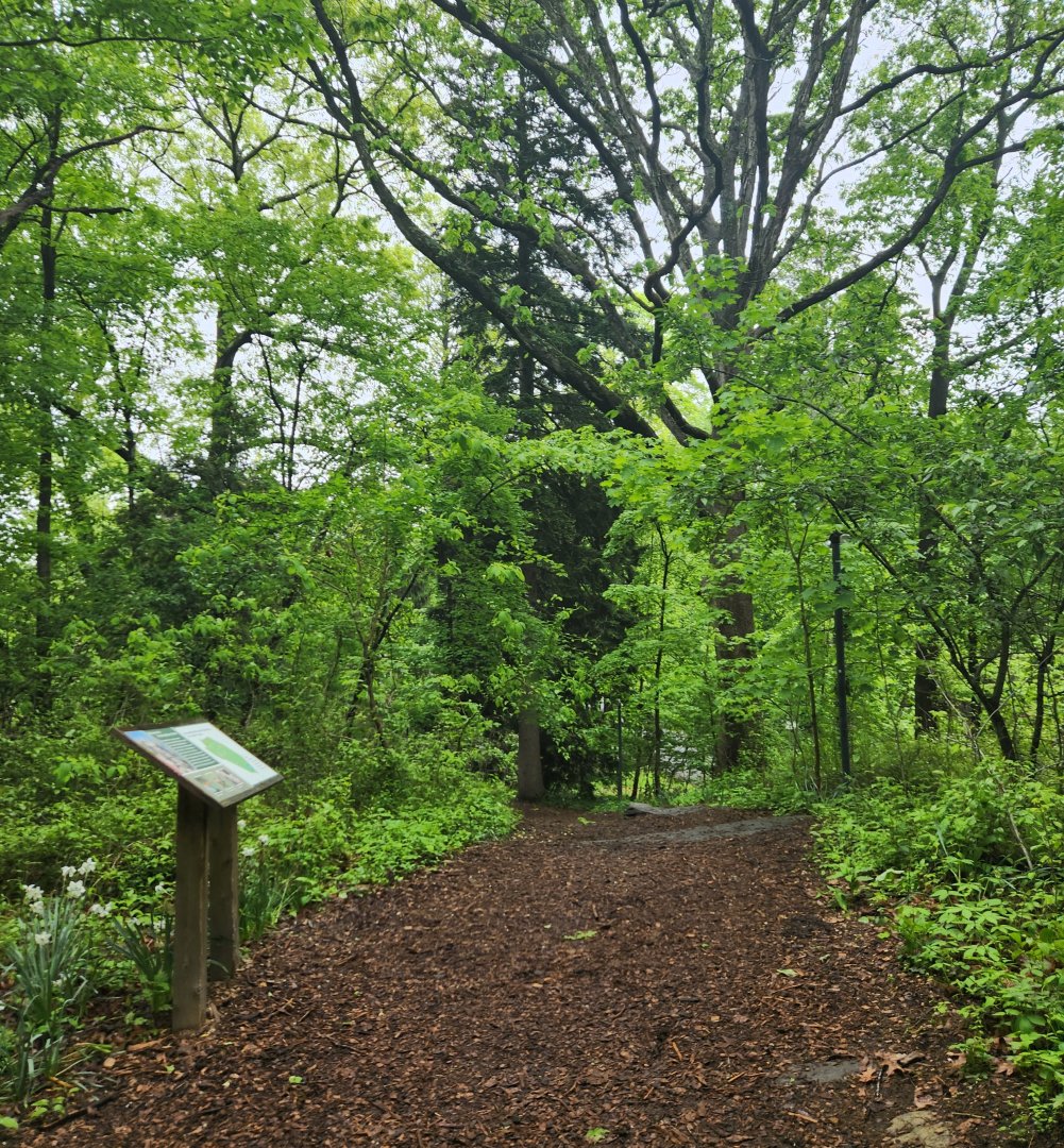 Greenburgh Nature Center (NY) - Pathway to center