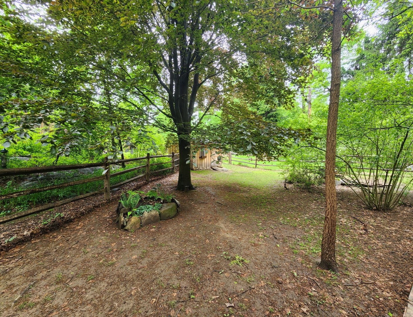 Greenburgh Nature Center (NY) - Sulcata tortoise yard