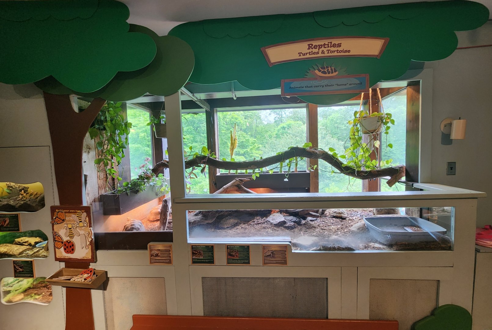 Greenburgh Nature Center (NY) - Tortoise exhibit