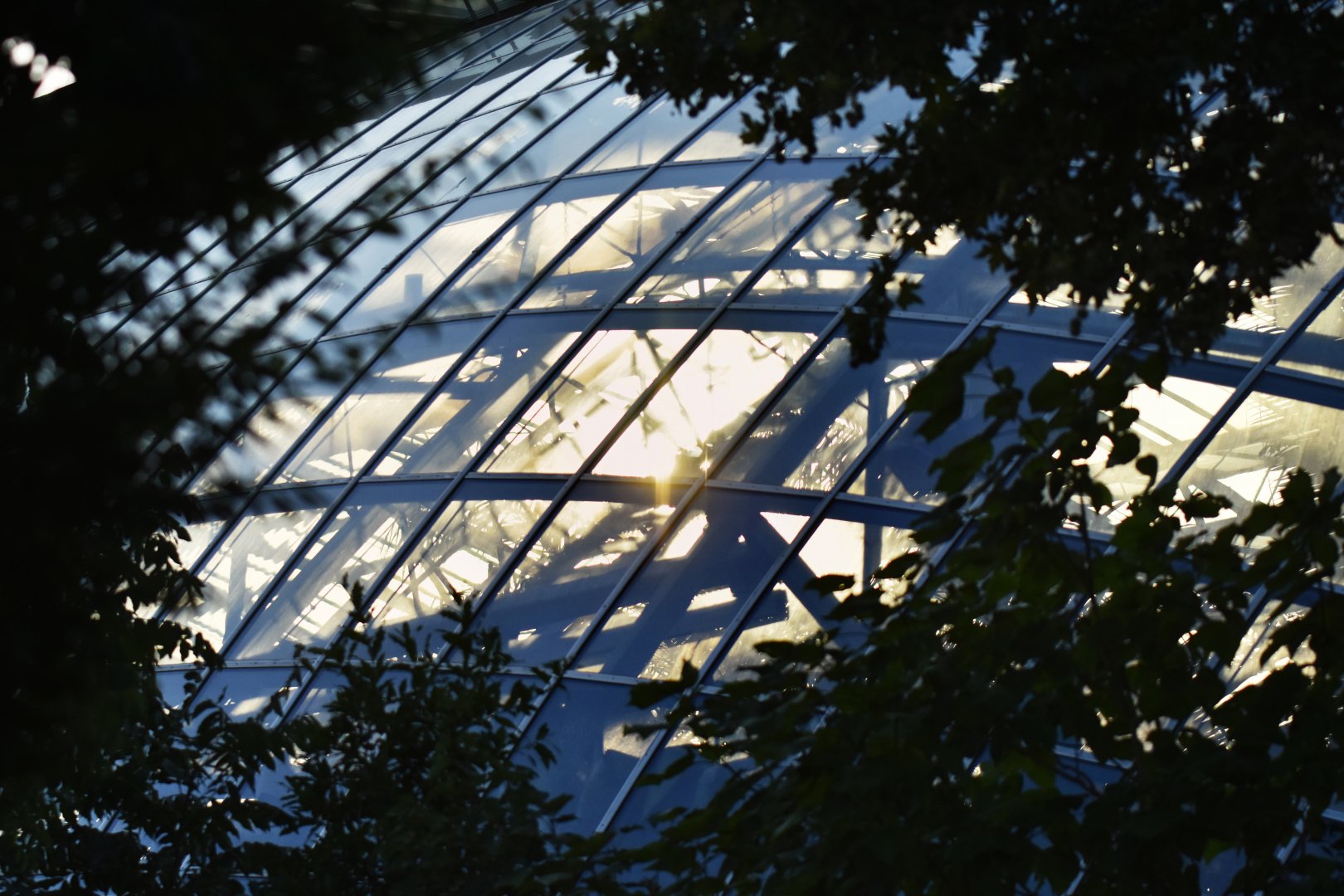 Greenhouse at sunset