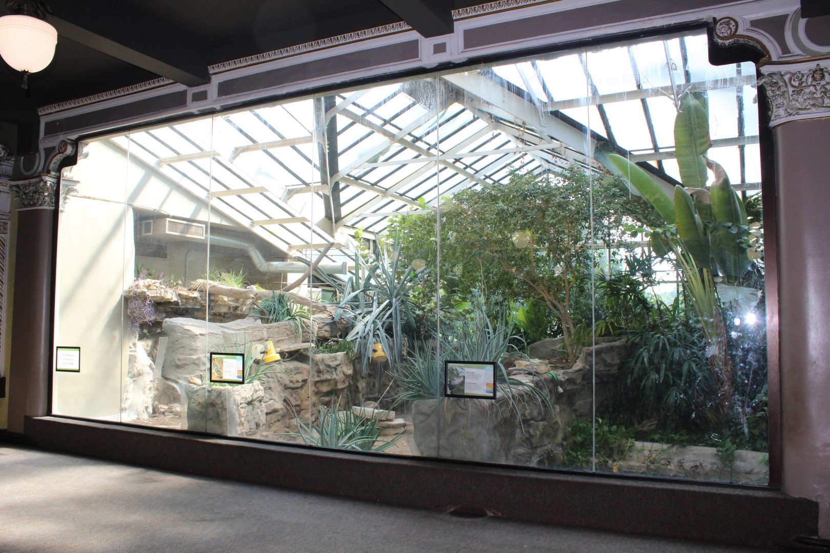 Greenhouse Exhibits (Dwarf Caiman, Blue-tounged Skink) - Herpetarium