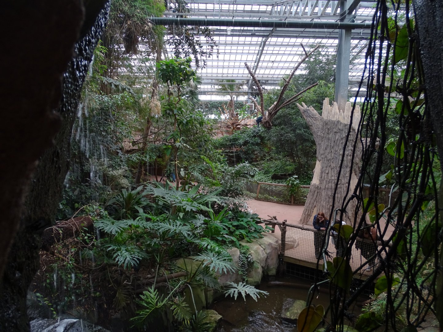 Greenhouse general view