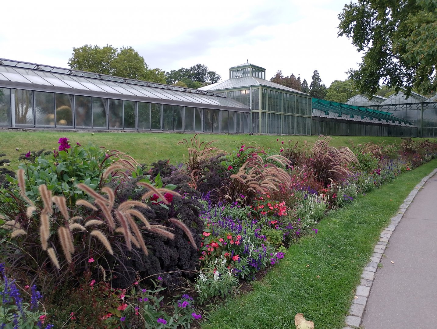 Greenhouse outdoor view