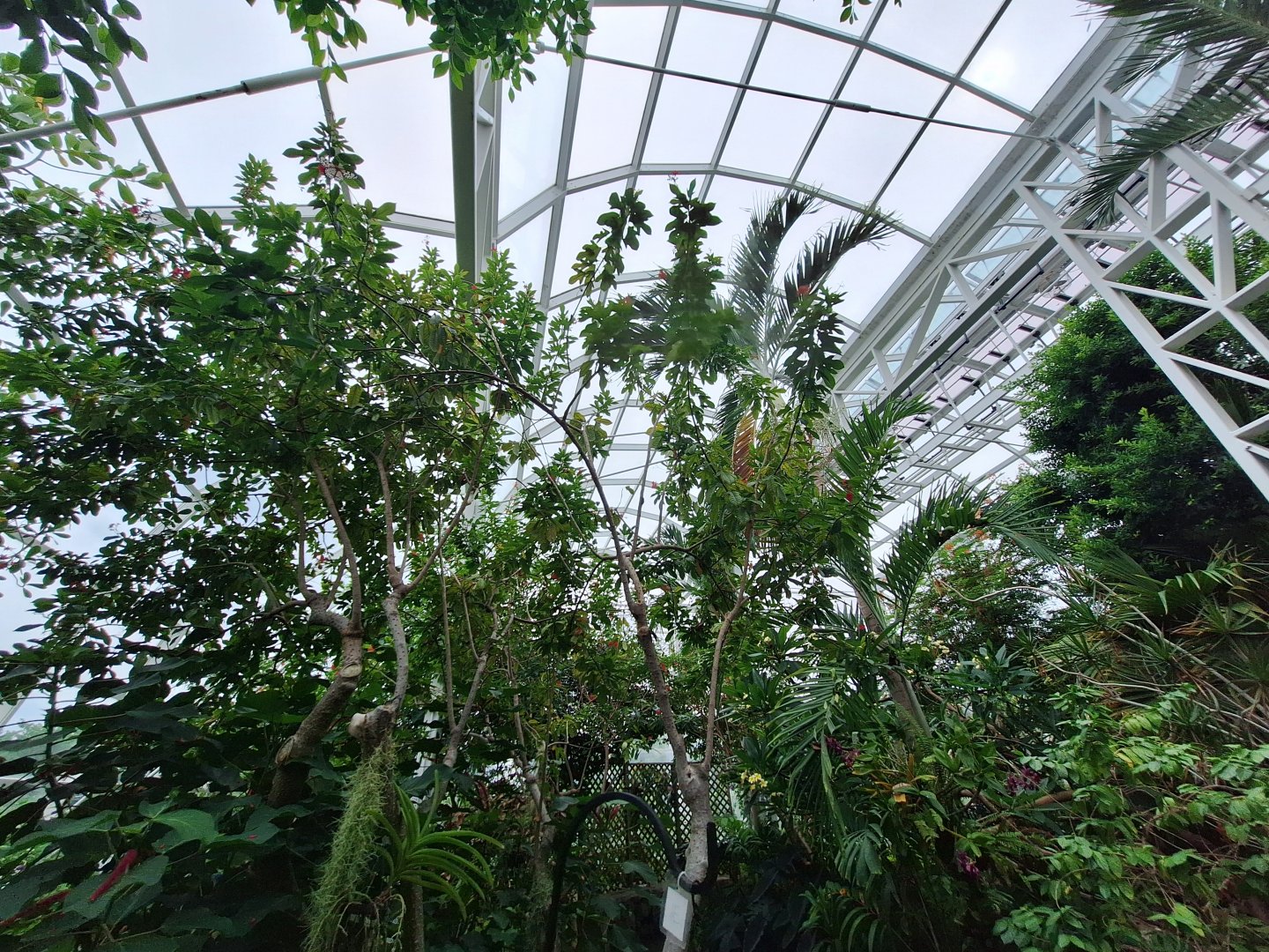 Greenhouse Overview