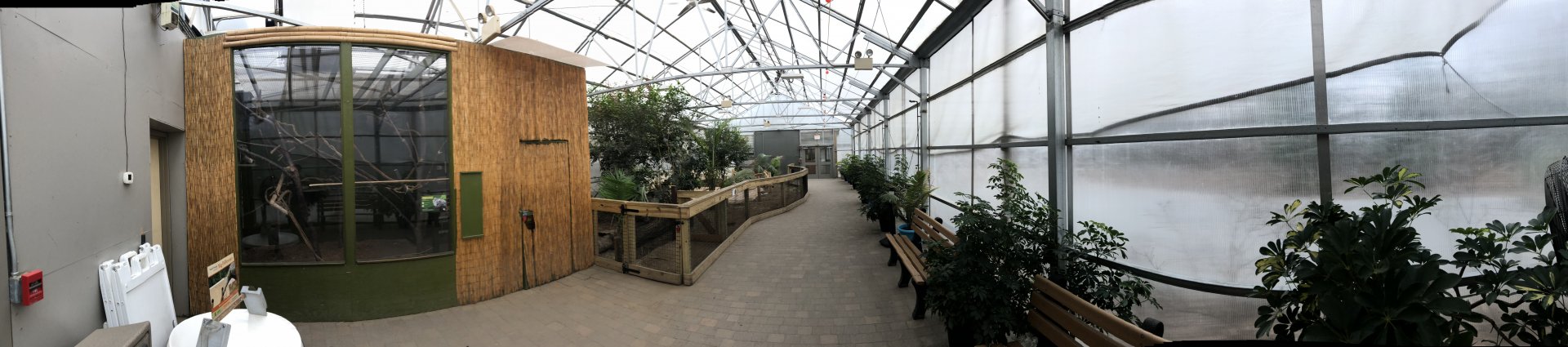 Greenhouse Panorama - Feb, 2020