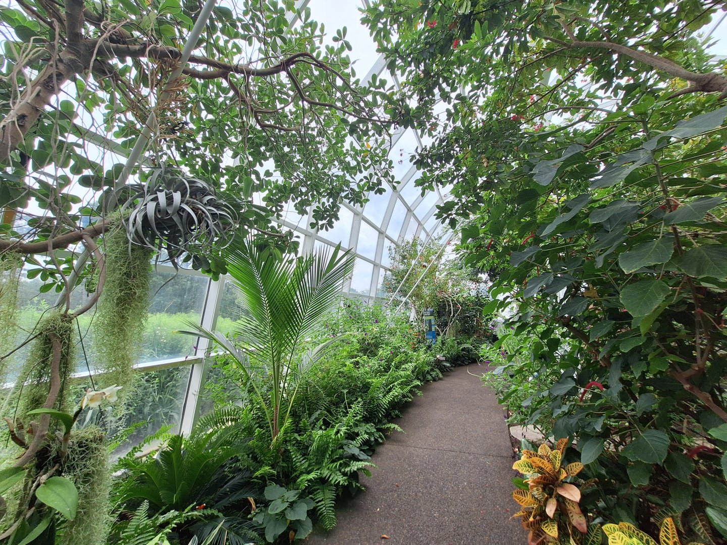 Greenhouse Path