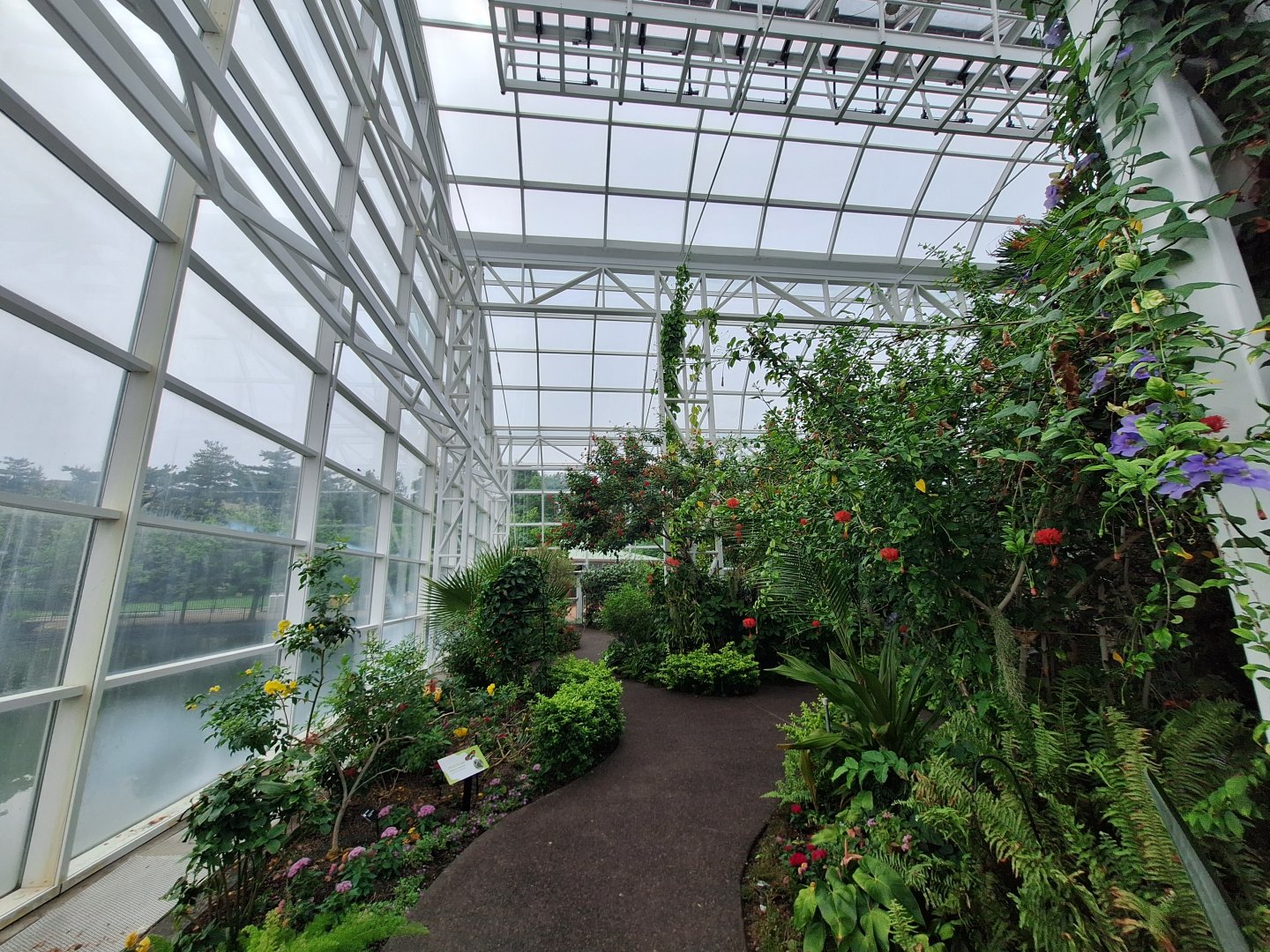 Greenhouse Path