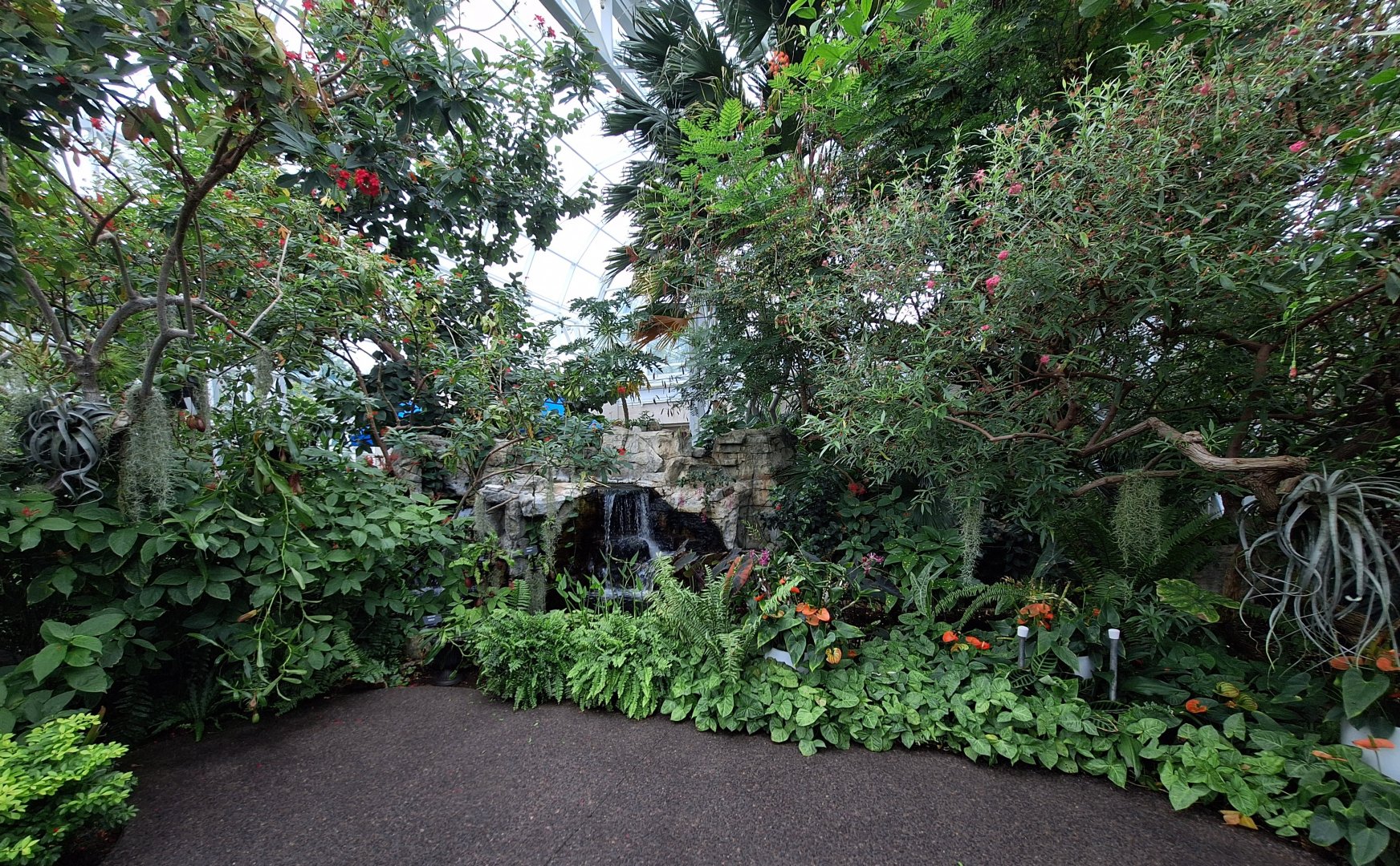 Greenhouse Waterfall
