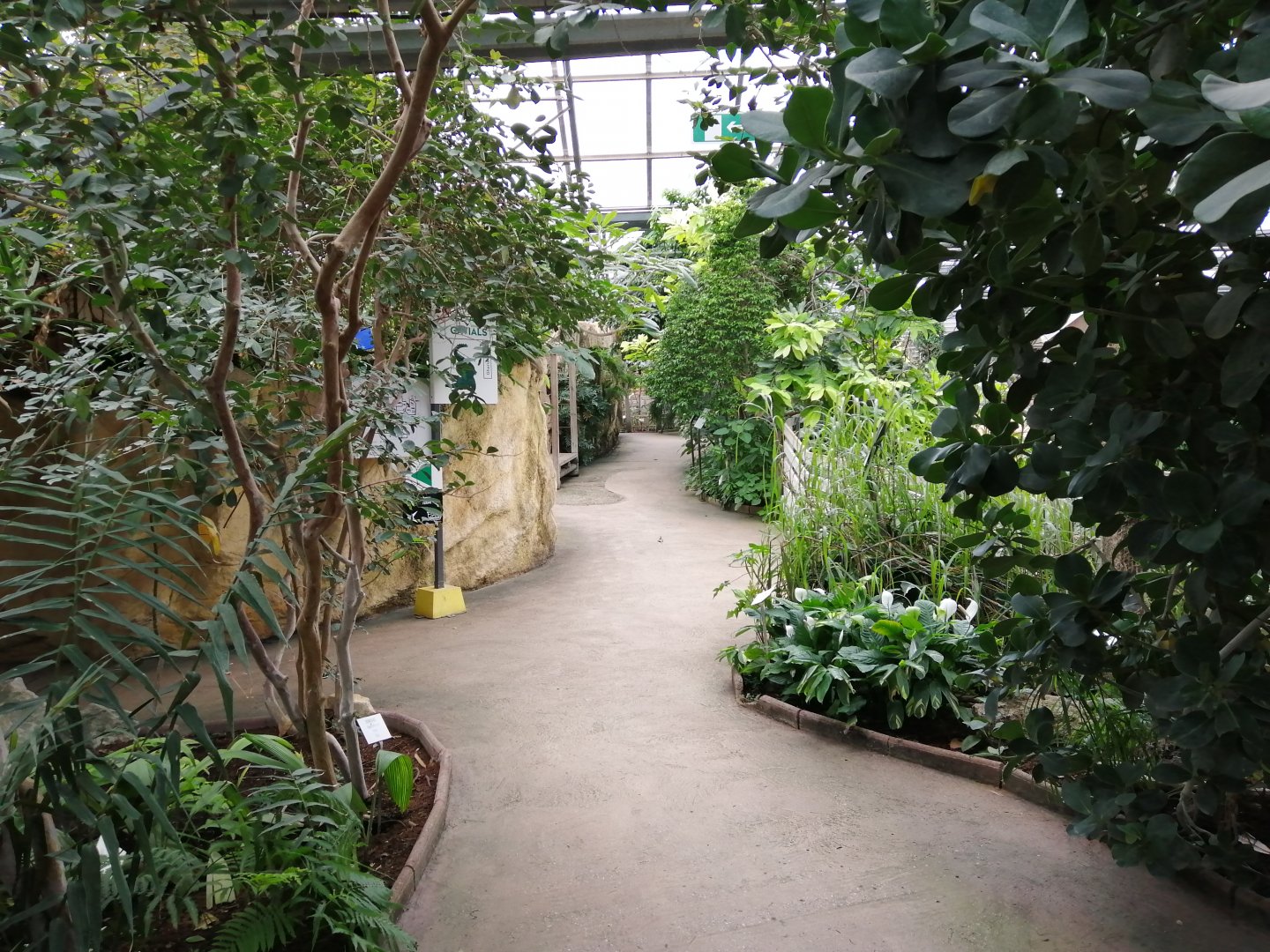 Greenhouse
