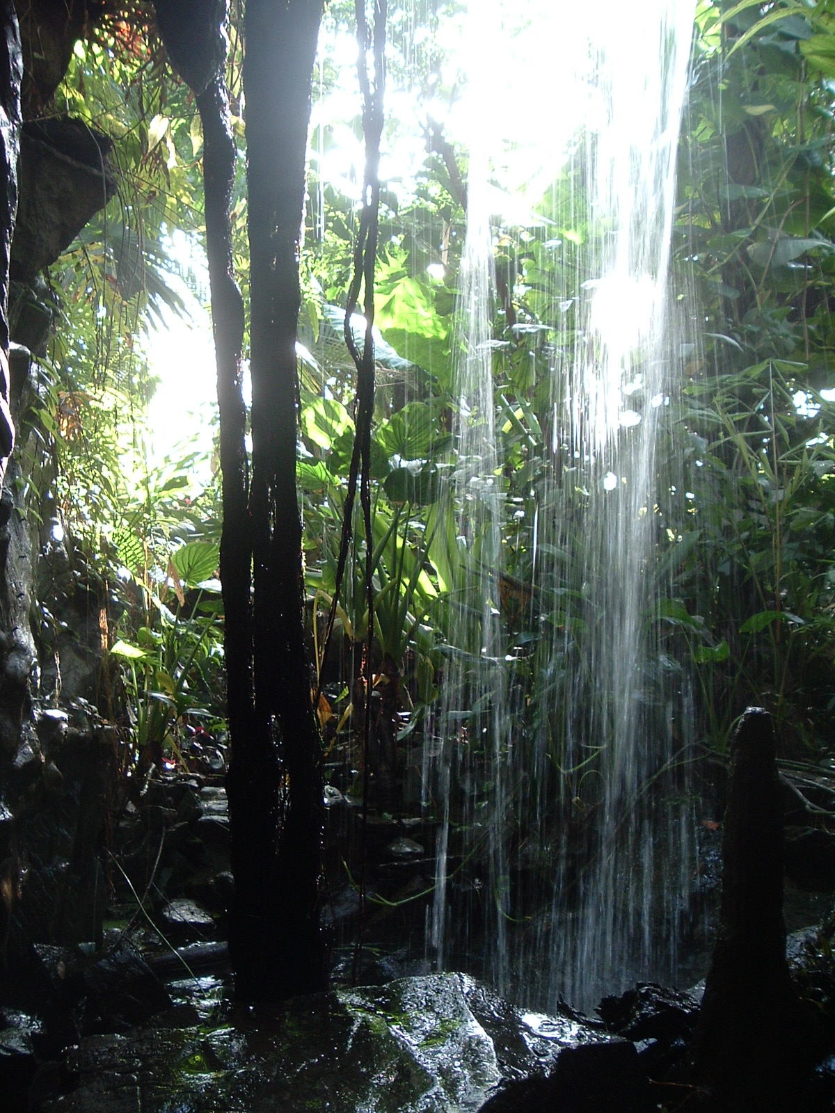 Greenhouses at Artis Zoo Jan 2006