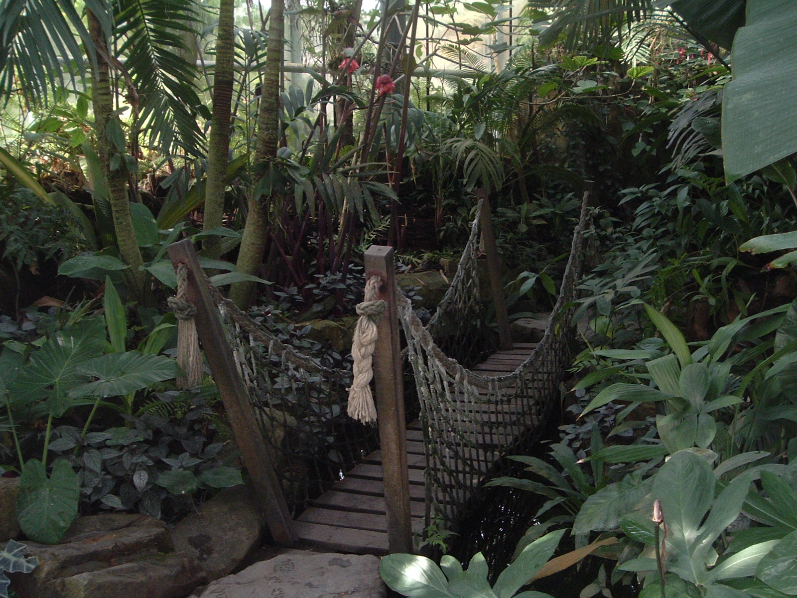 Greenhouses at Artis Zoo Jan 2006