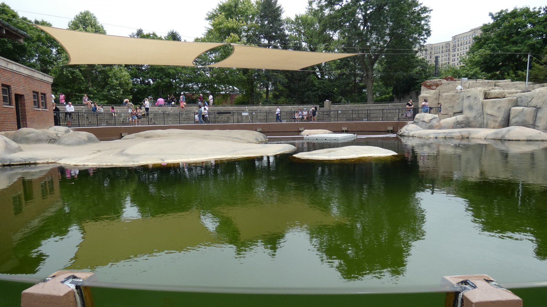 Greenish Seal Pool (Unedited Photo) - July 2022