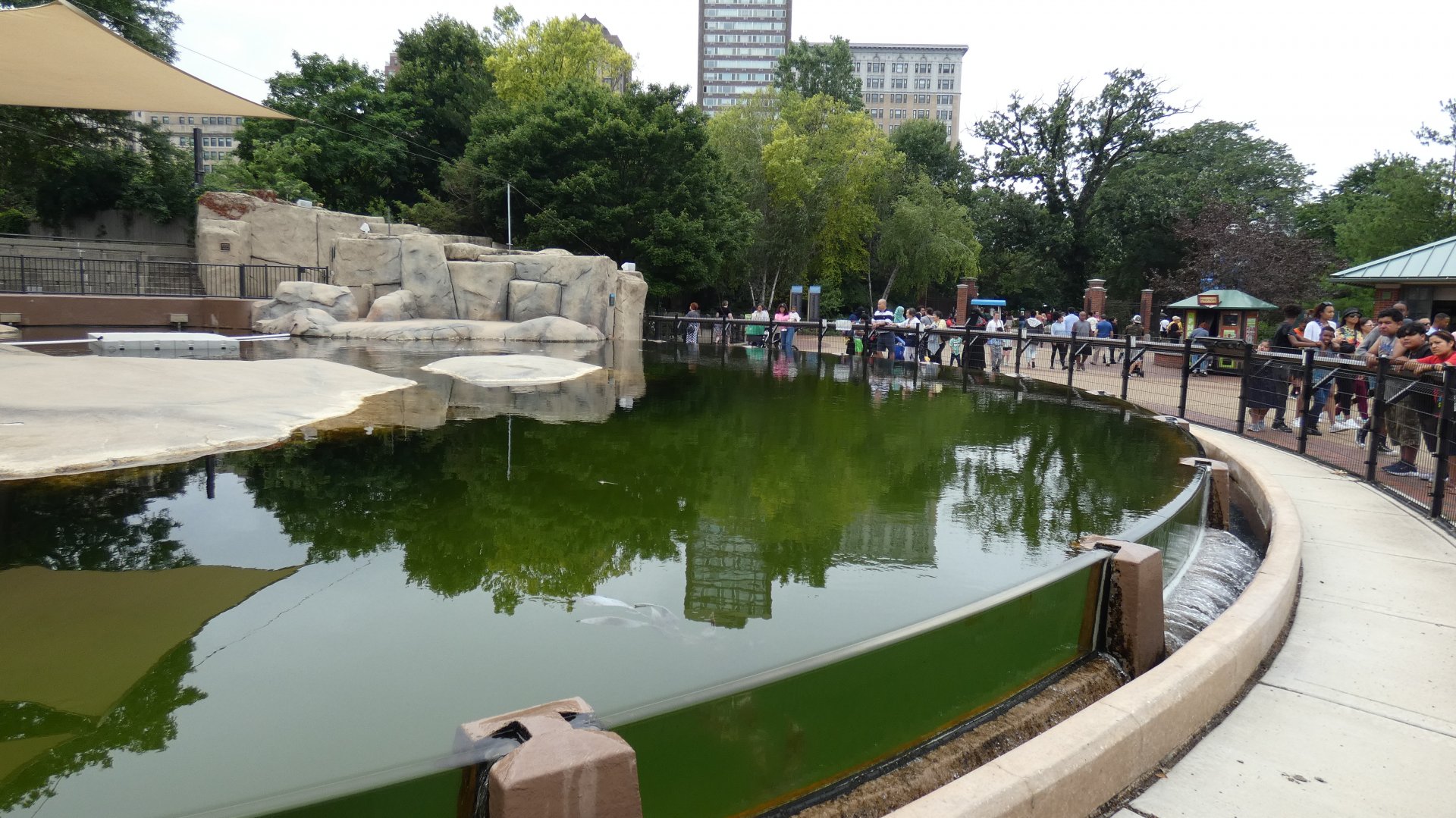 Greenish Seal Pool (Unedited Photo) - July 2022