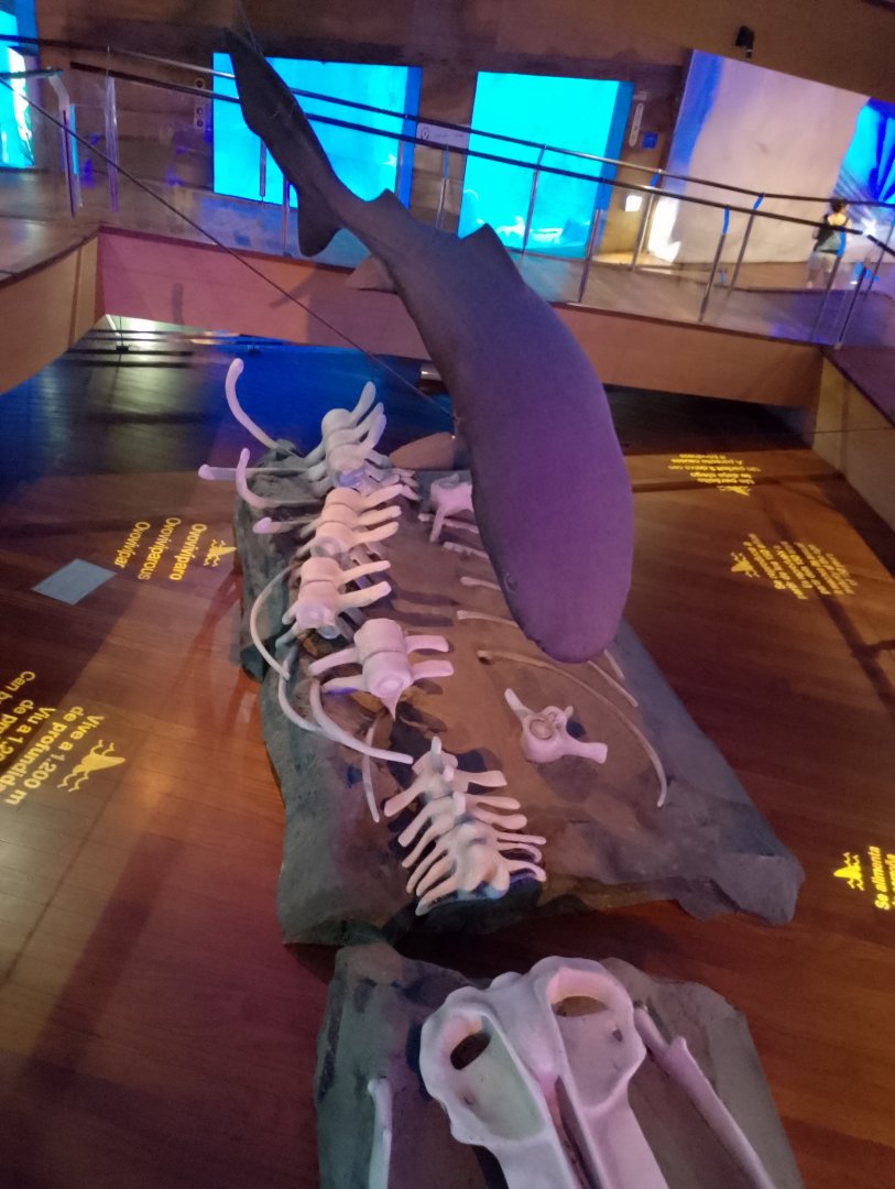 Greenland shark statue