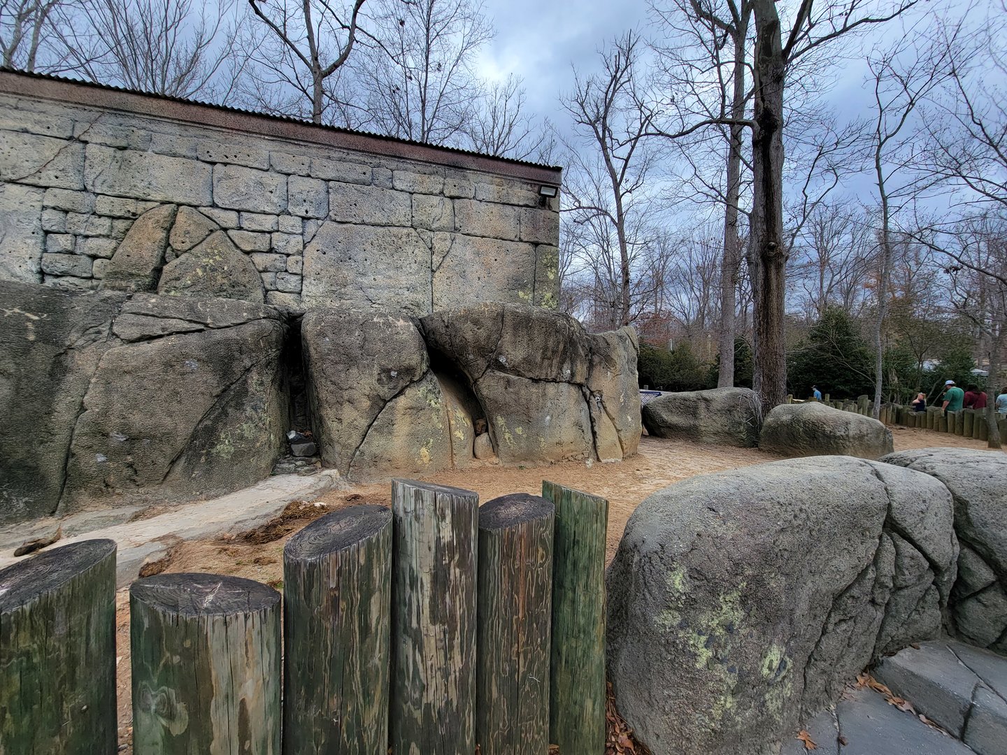 Greensboro 2/2023 - Aldabra tortoise outside area