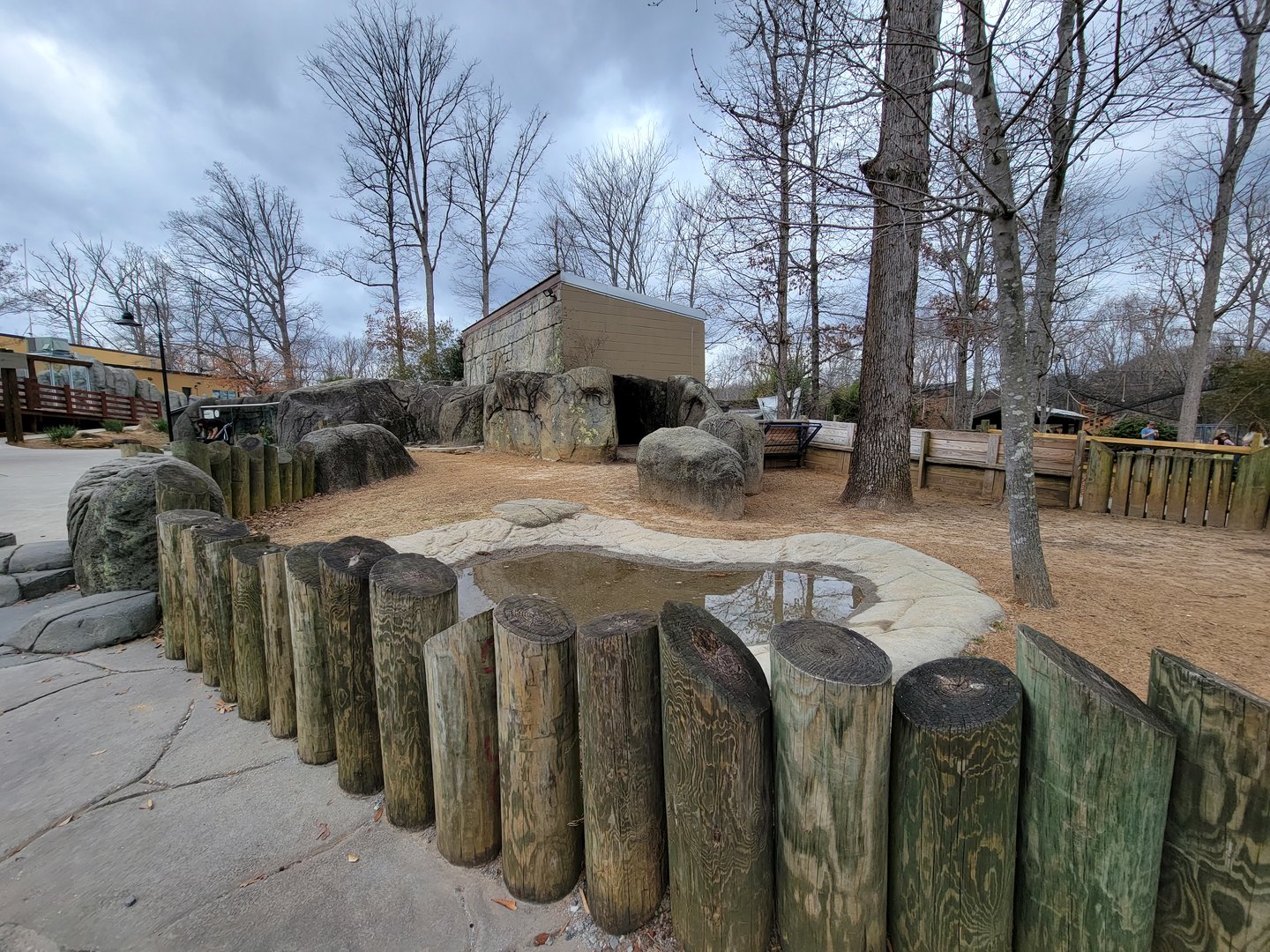 Greensboro 2/2023 - Aldabra tortoise outside area