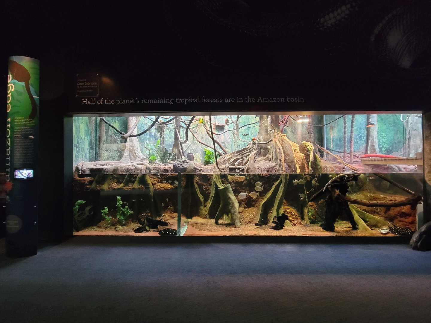 Greensboro 2/2023 - Amazon, main exhibit