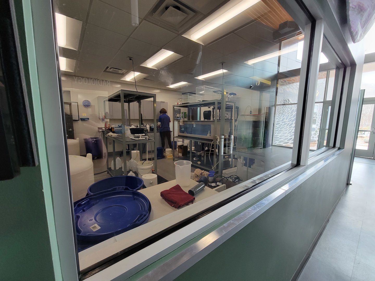 Greensboro 2/2023 - Animal Hospital, freshwater mussel area