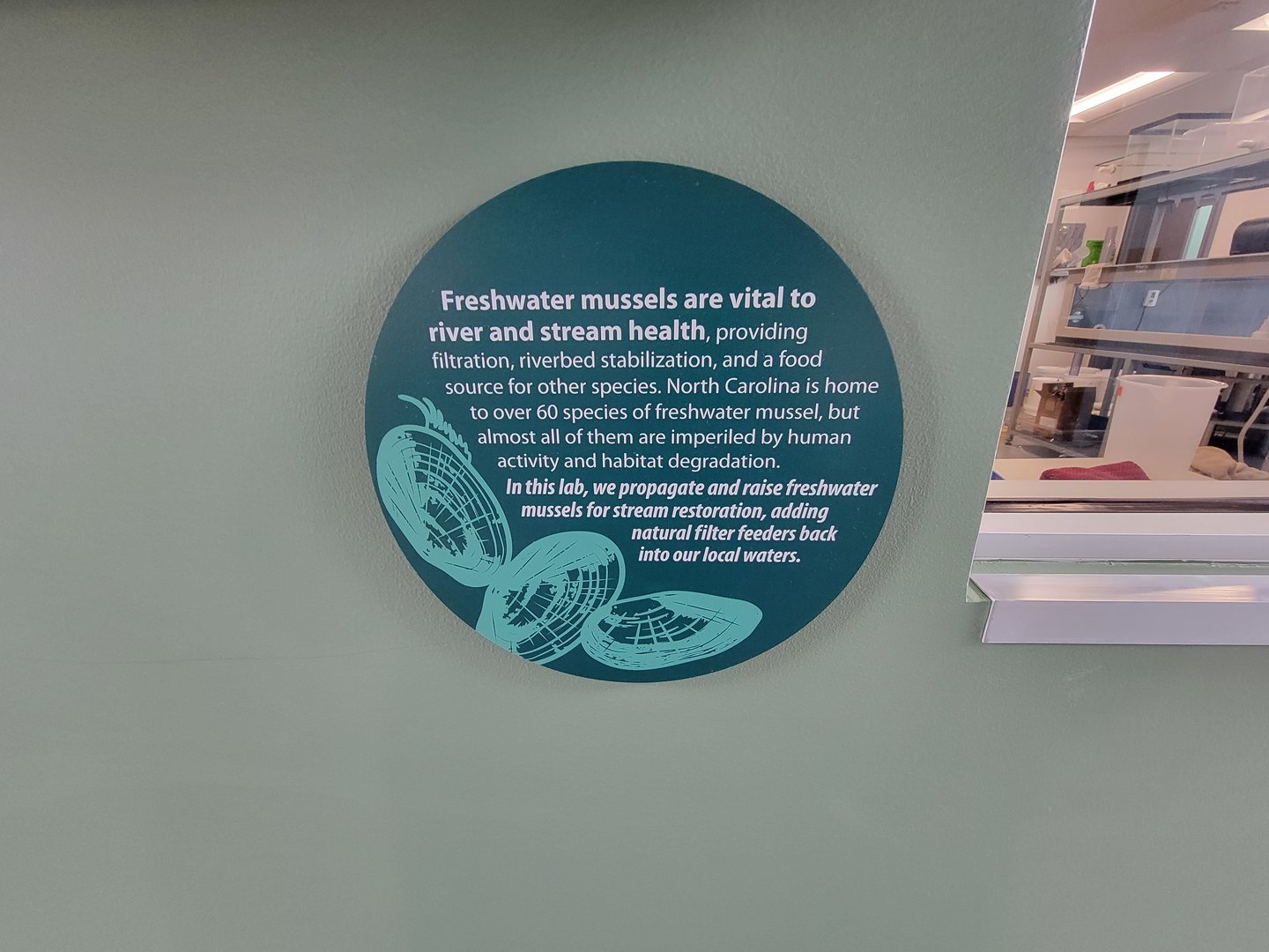 Greensboro 2/2023 - Animal Hospital, freshwater mussel info