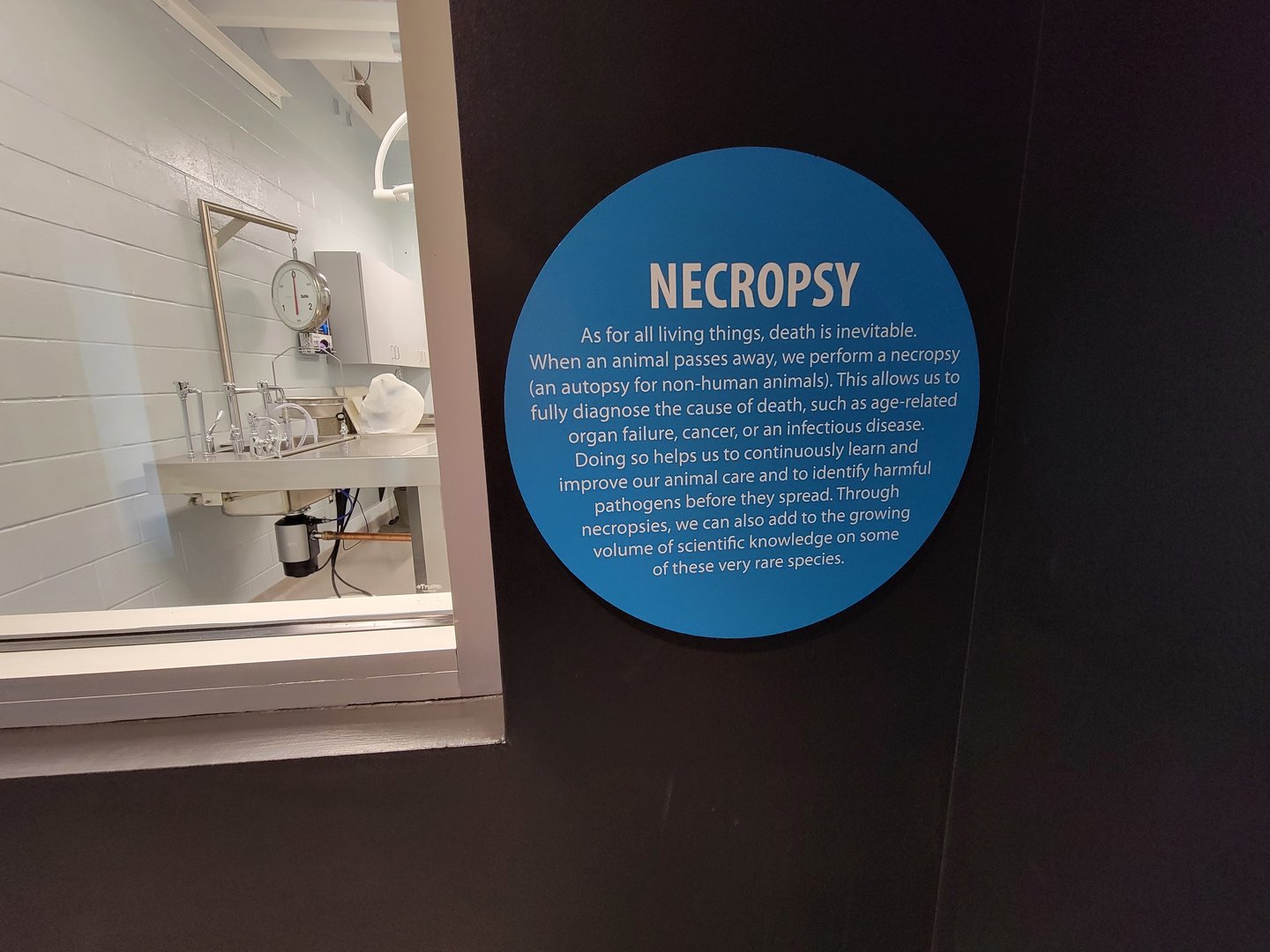 Greensboro 2/2023 - Animal Hospital, info about why necropsies are important