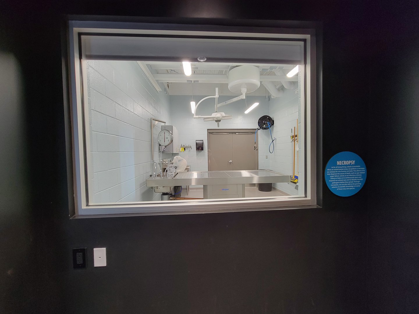 Greensboro 2/2023 - Animal Hospital, necropsy viewing window