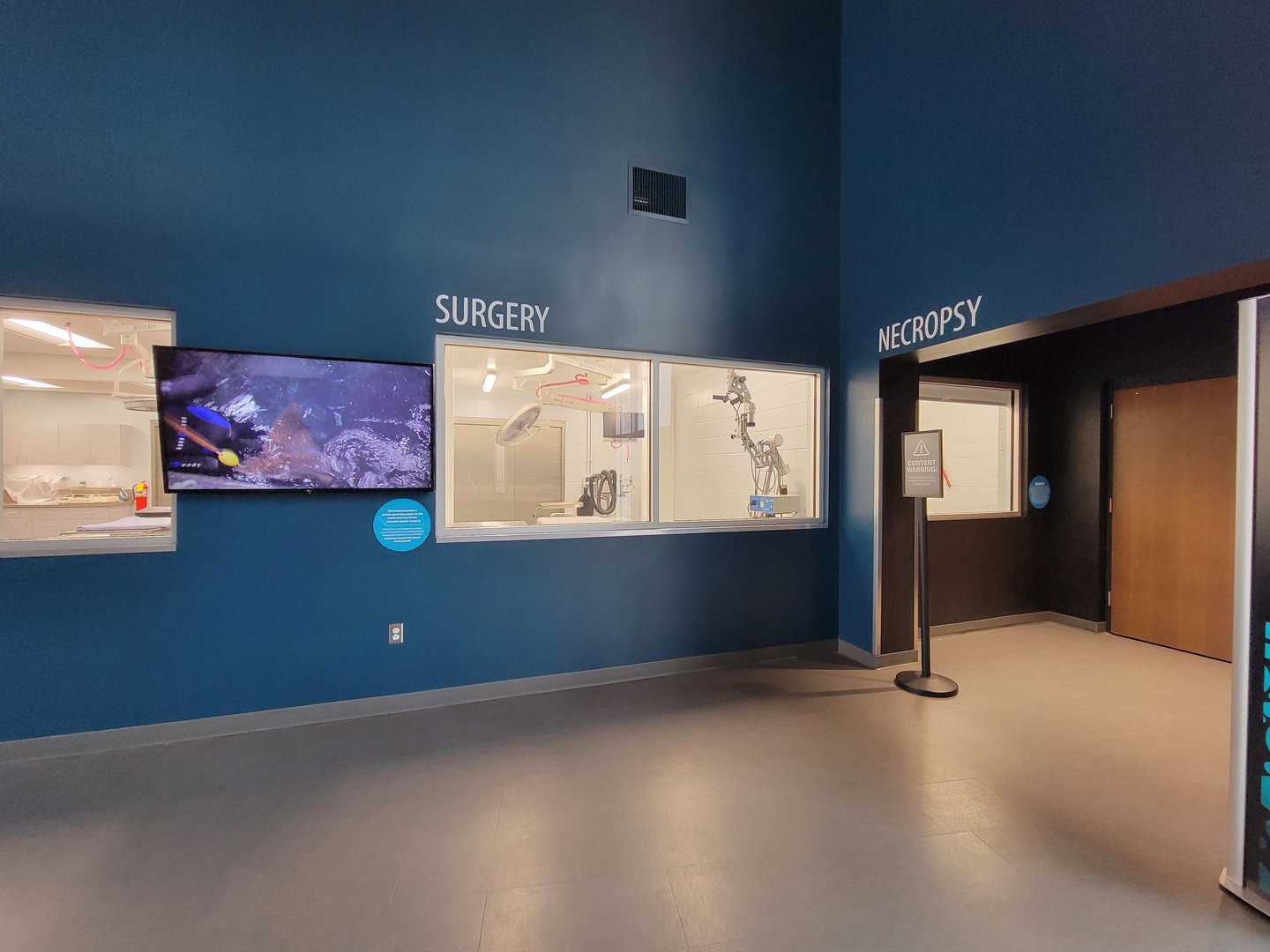 Greensboro 2/2023 - Animal Hospital, surgery viewing window