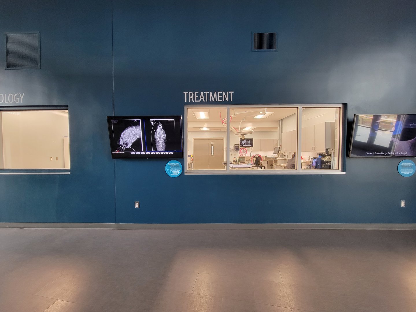 Greensboro 2/2023 - Animal Hospital, treatment viewing window