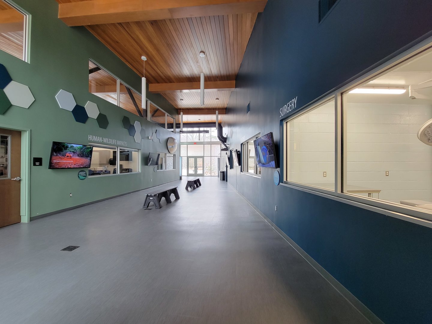 Greensboro 2/2023 - Animal Hospital