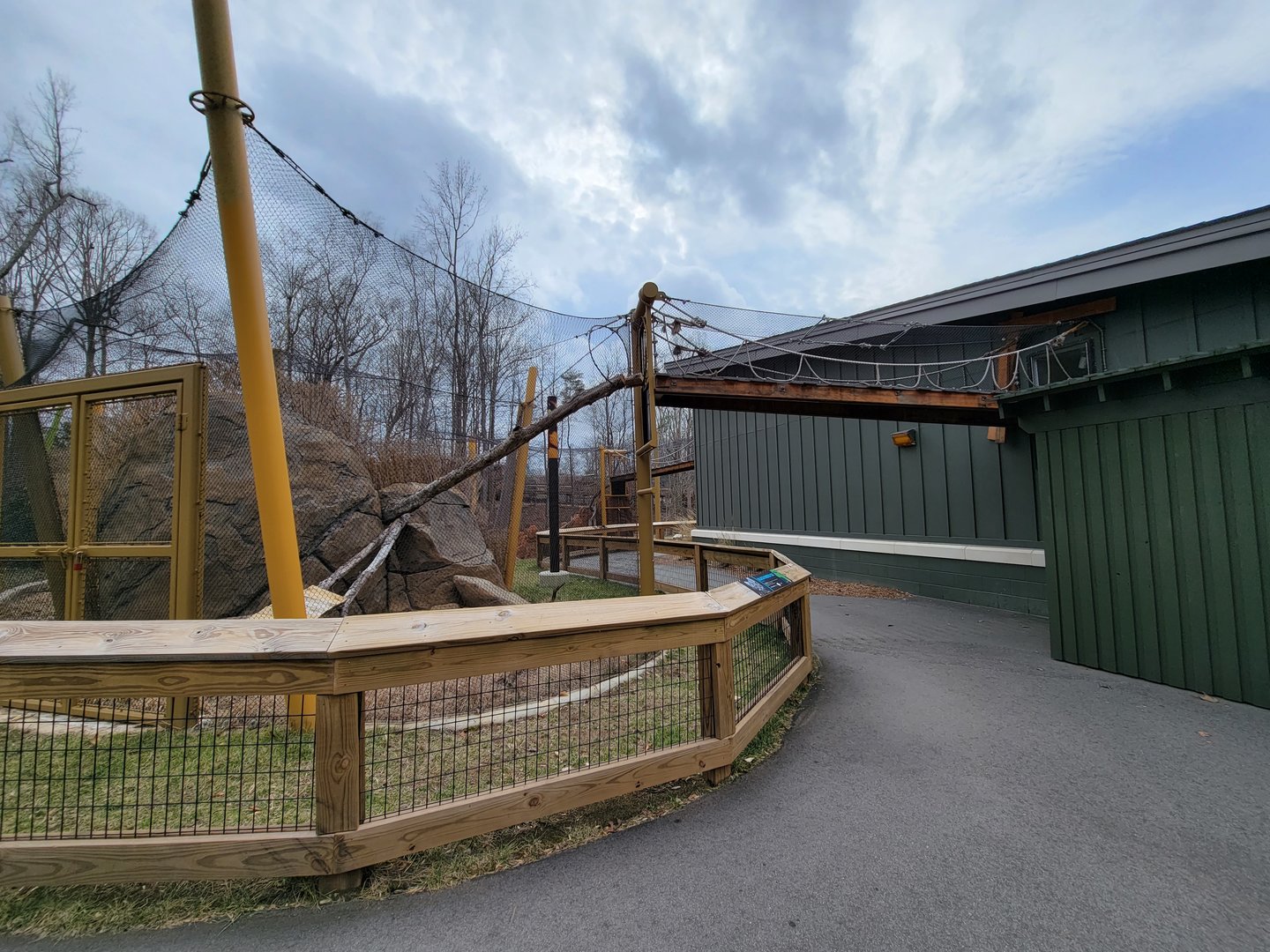 Greensboro 2/2023 - Black-footed cat outdoor area