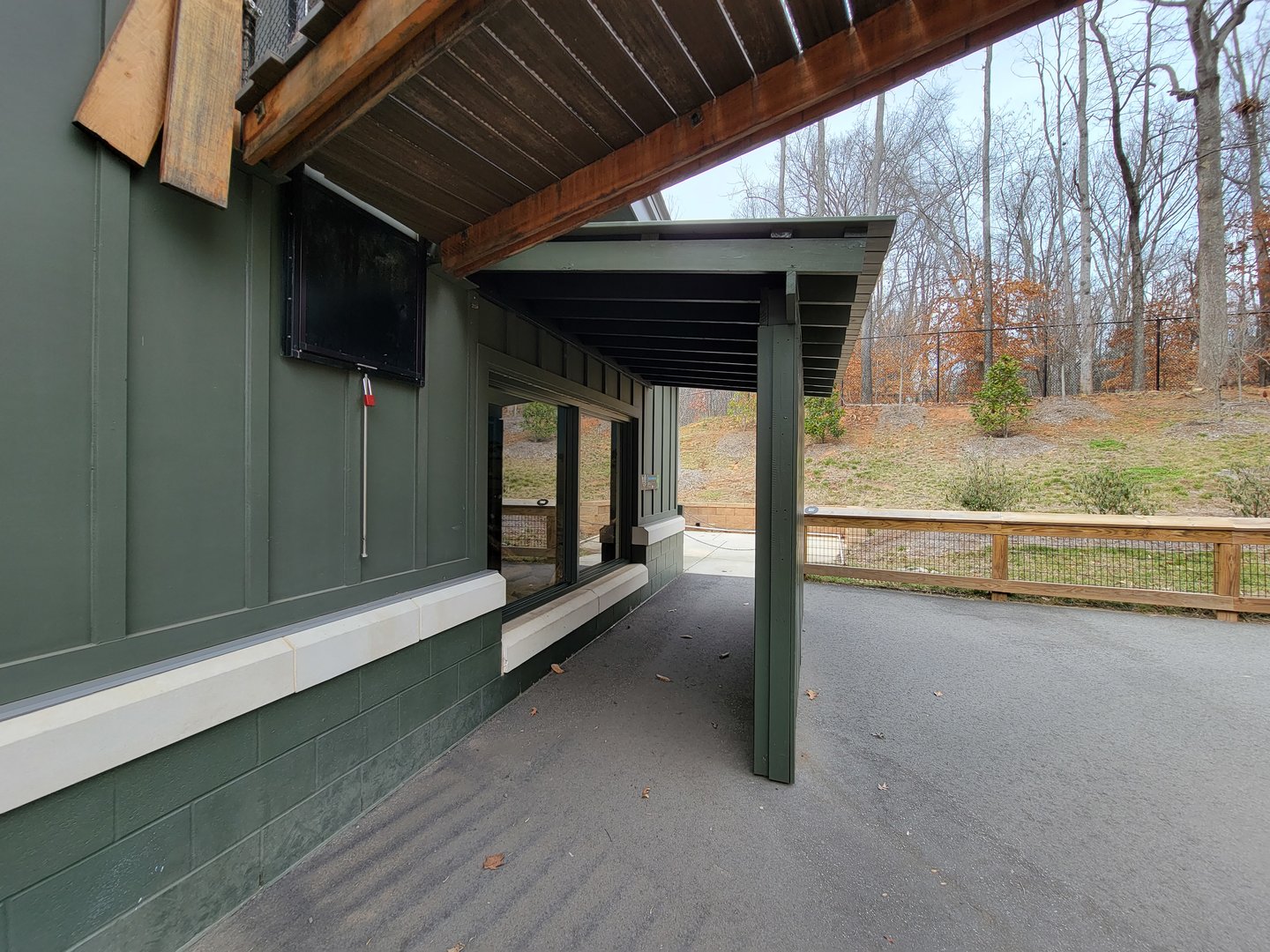 Greensboro 2/2023 - Black-footed cat viewing window