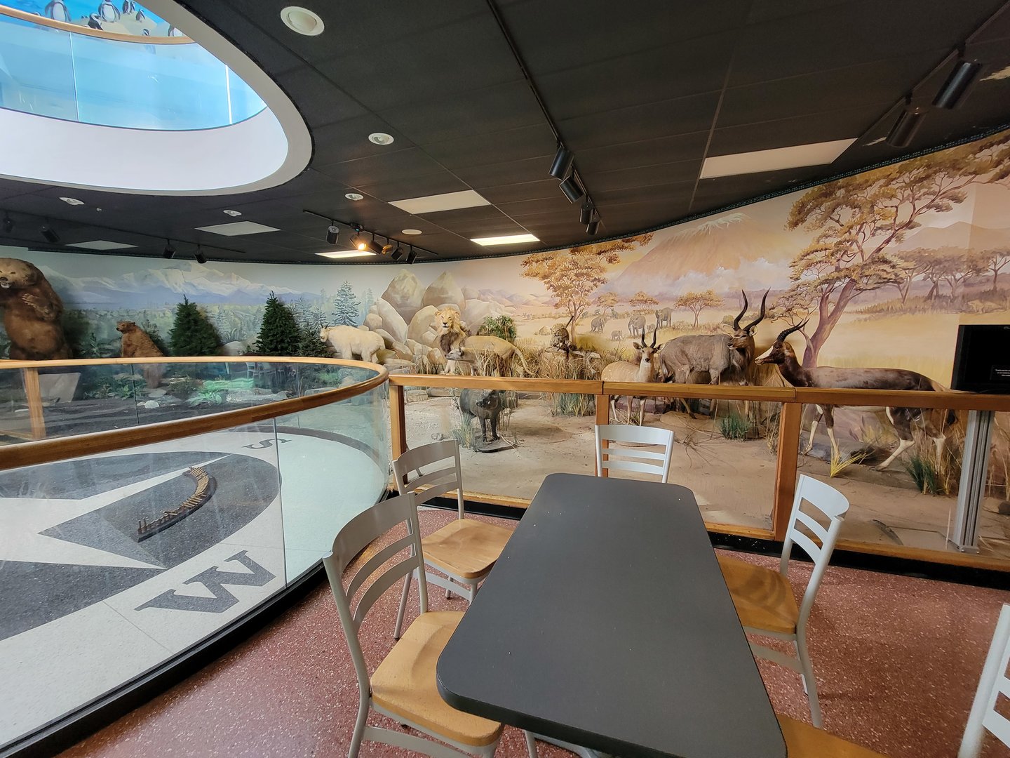 Greensboro 2/2023 - Building lower level, taxidermy around pendulum