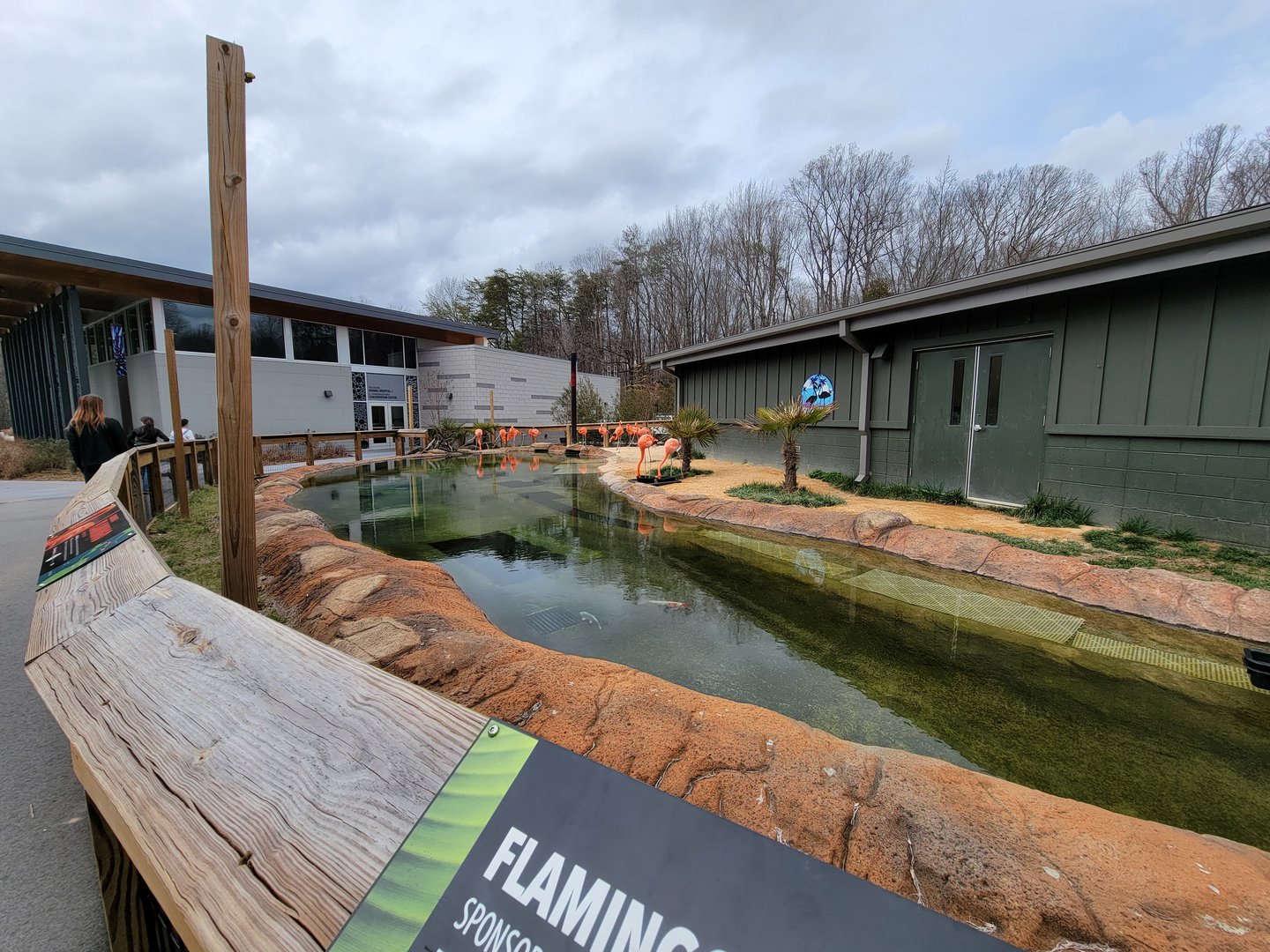 Greensboro 2/2023 - Caribbean flamingos, vet building