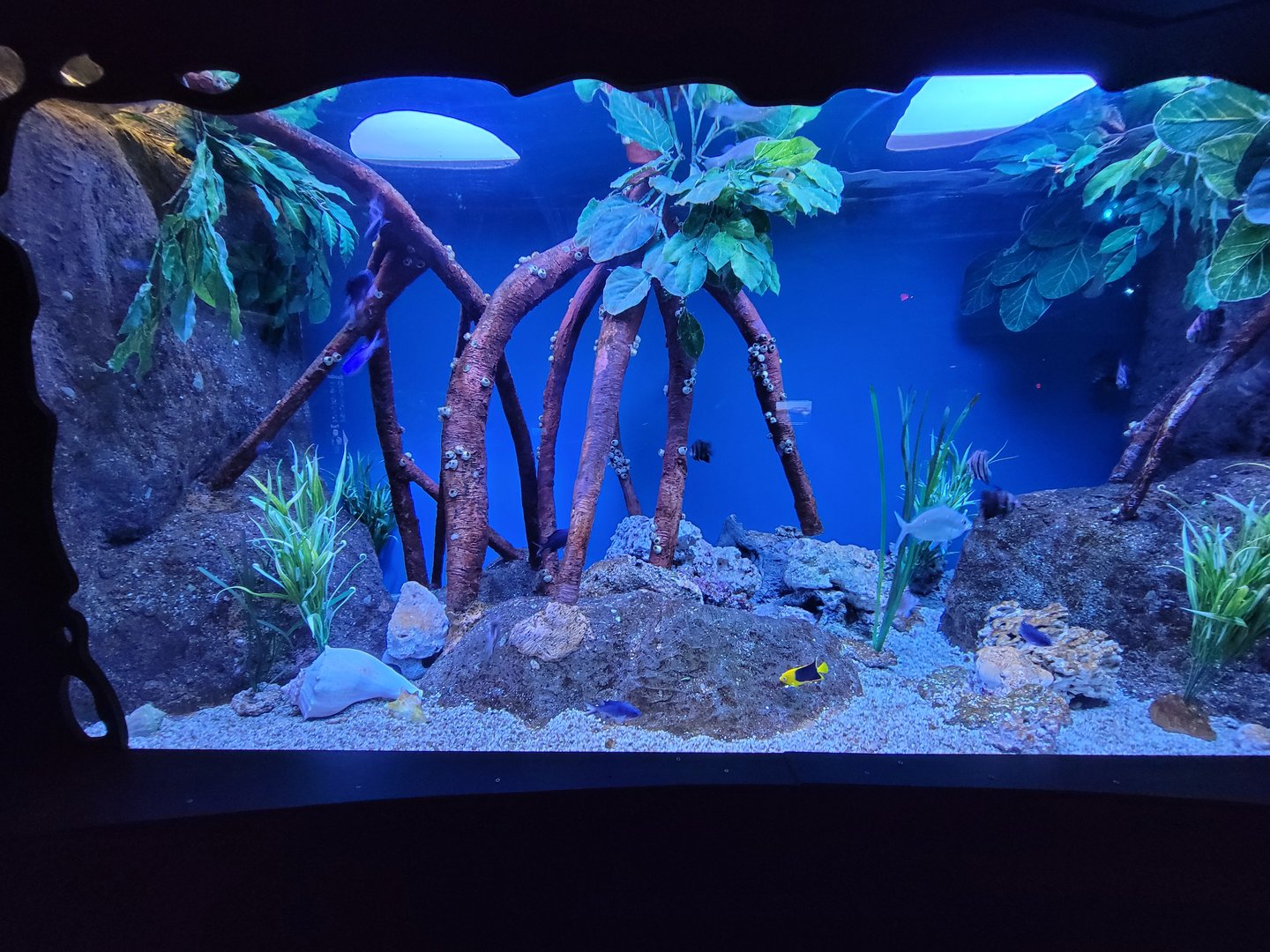 Greensboro 2/2023 - Communities Connected tank