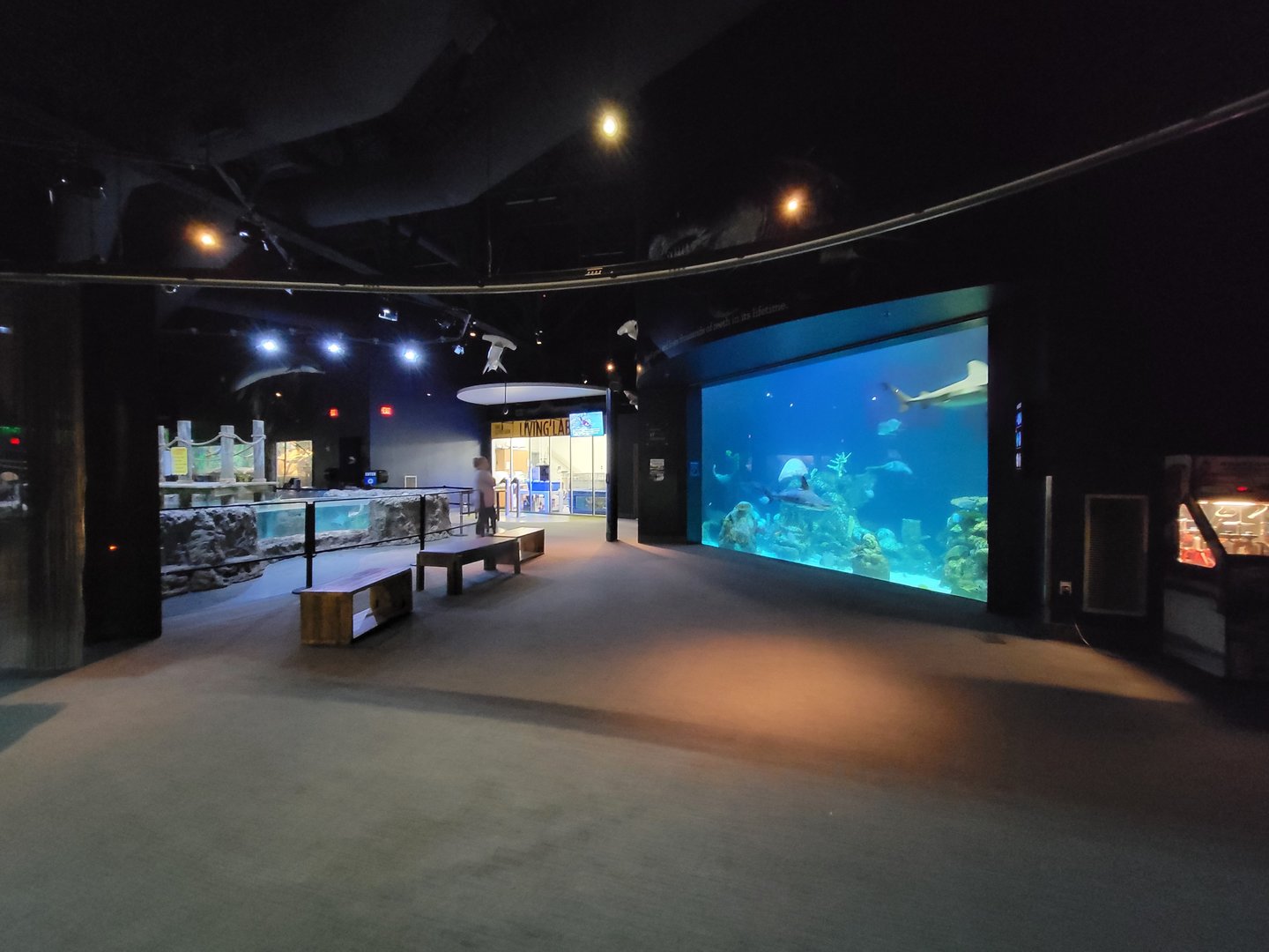 Greensboro 2/2023 - First look inside aquarium