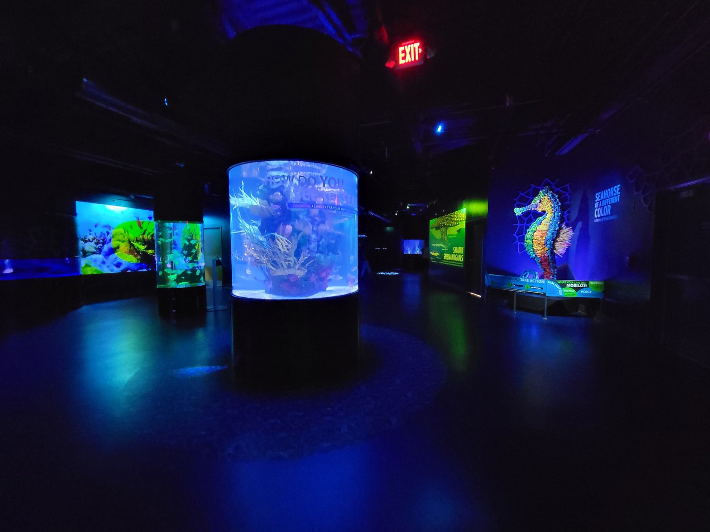 Greensboro 2/2023 - Fish tank area