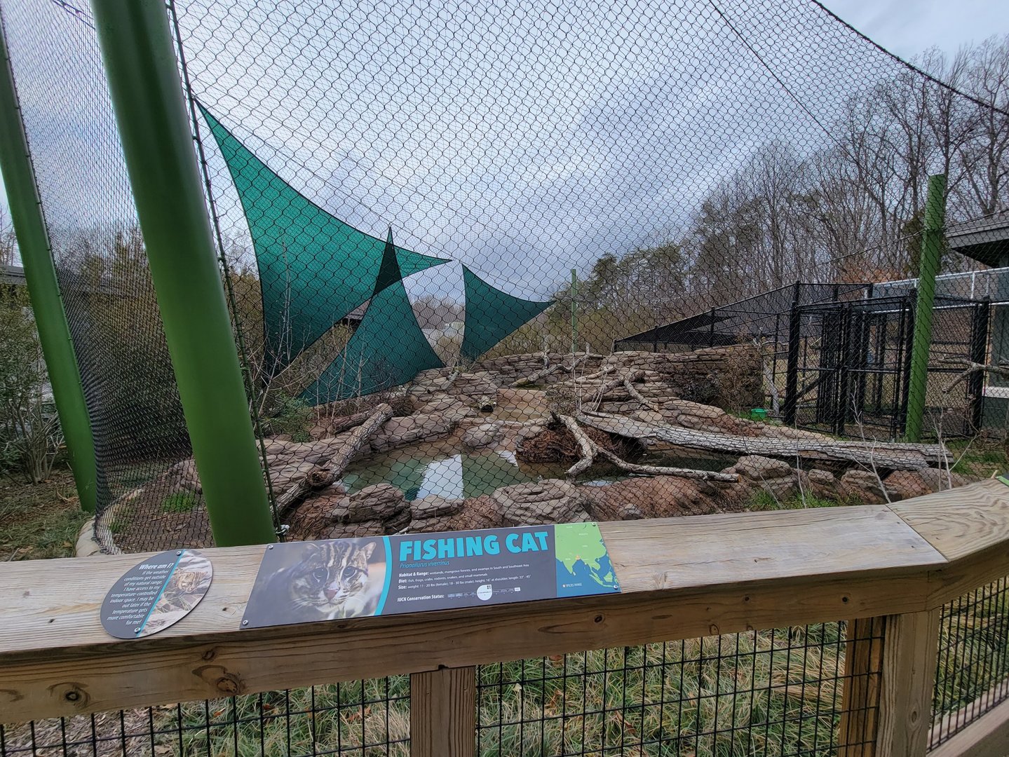 Greensboro 2/2023 - Fishing cat yard