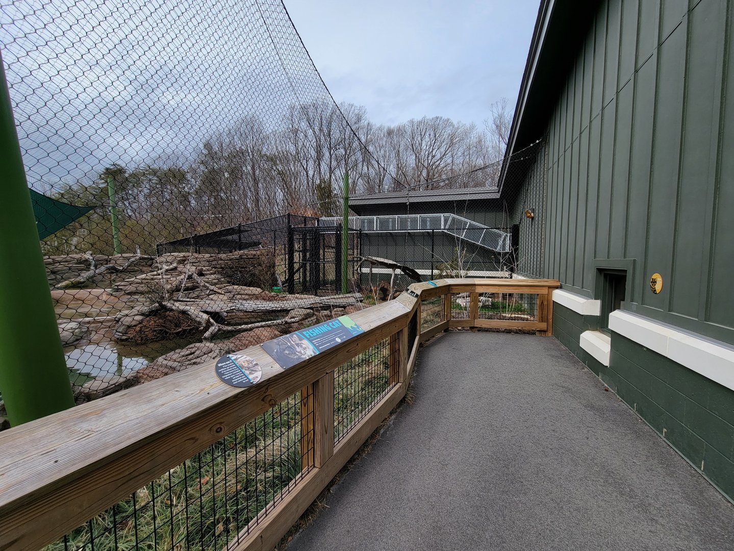 Greensboro 2/2023 - Fishing cat yard