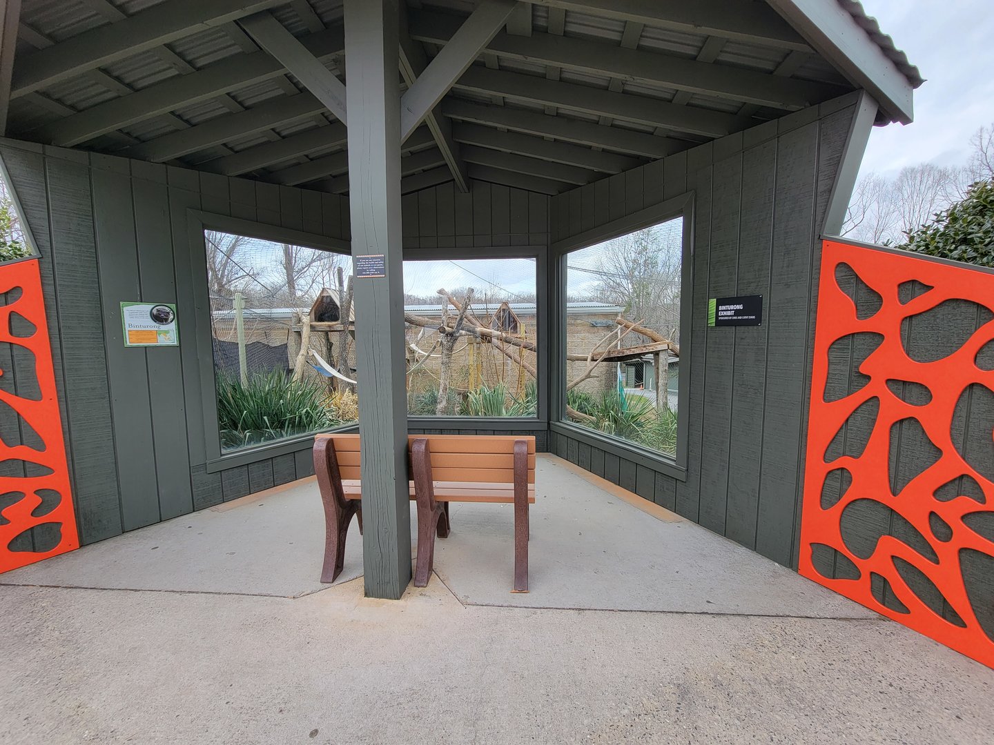 Greensboro 2/2023 - Friendly Farm, Binturong