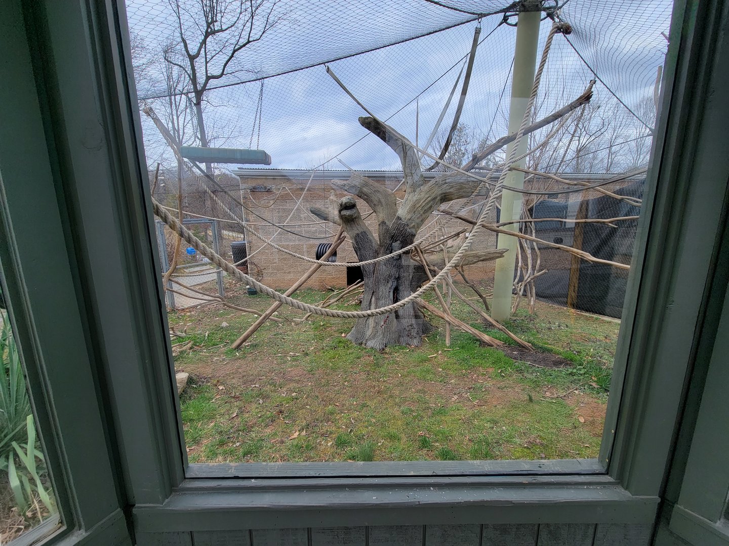 Greensboro 2/2023 - Friendly Farm, Black Howler