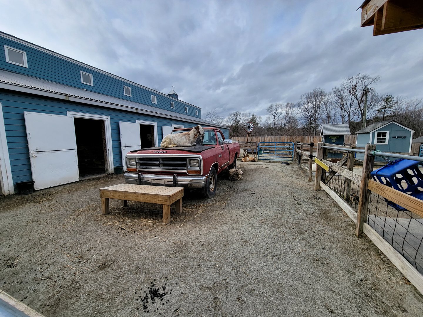 Greensboro 2/2023 - Friendly Farm