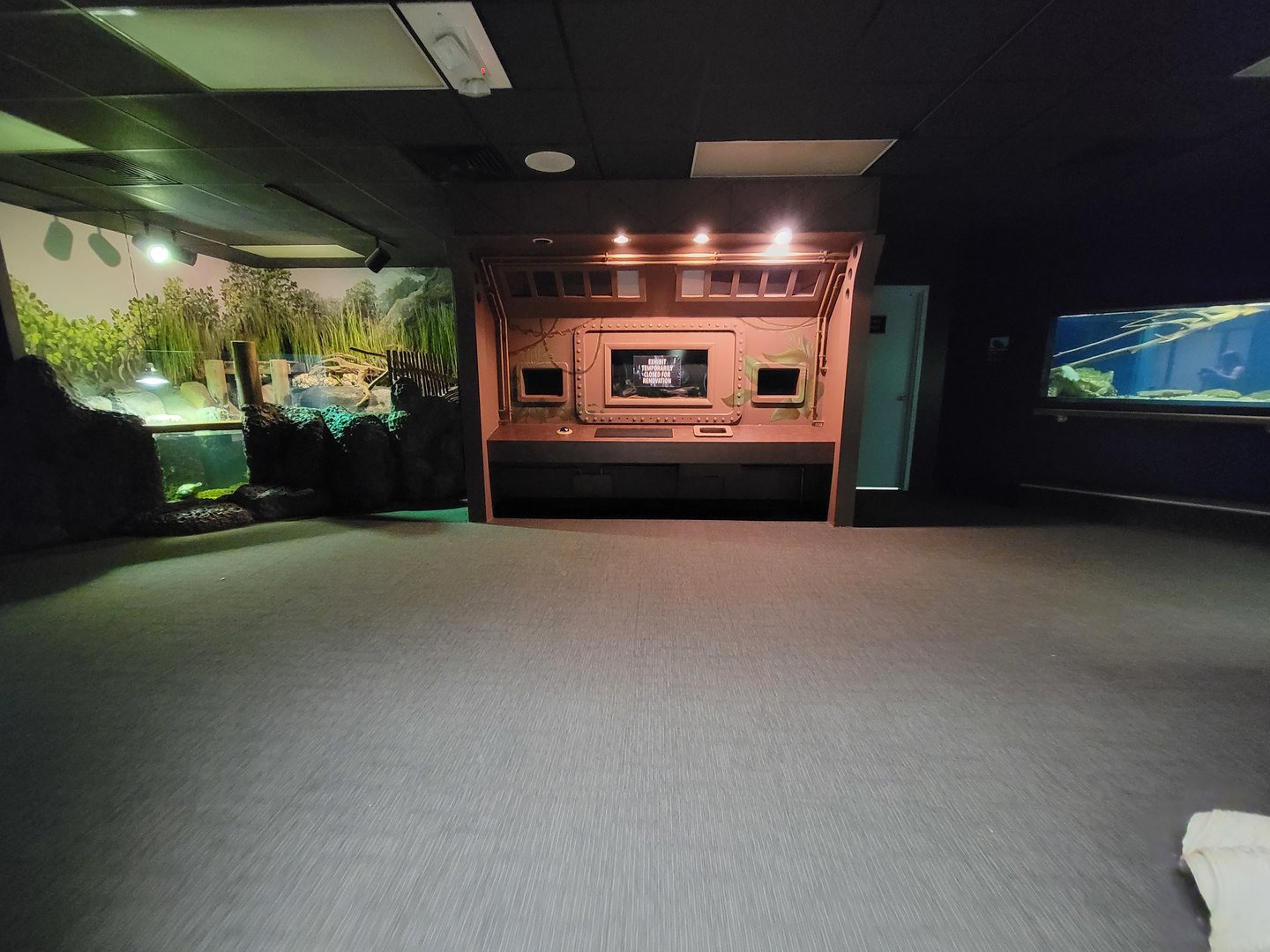 Greensboro 2/2023 - Herpetarium, old interactive thing