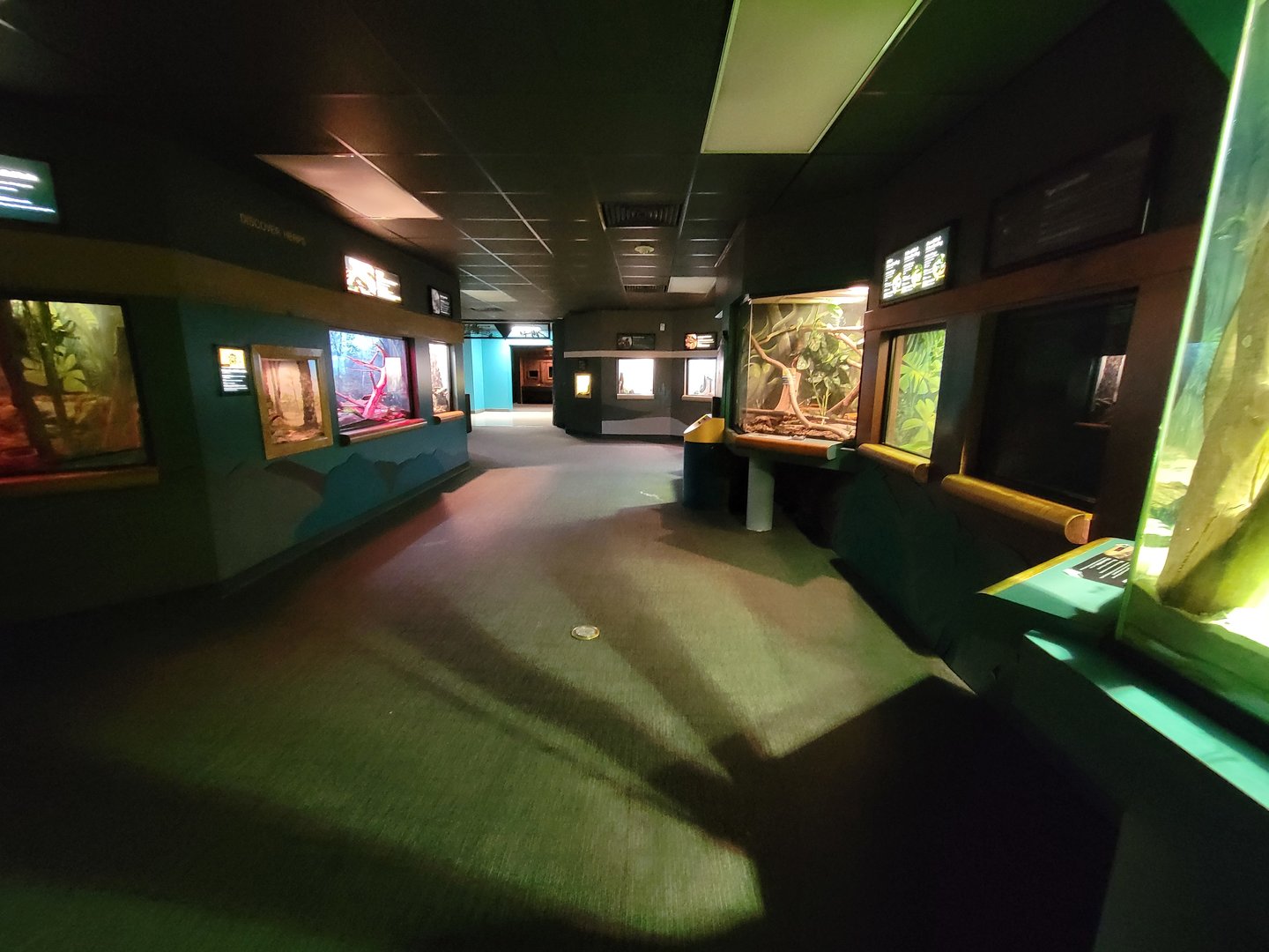 Greensboro 2/2023 - Herpetarium