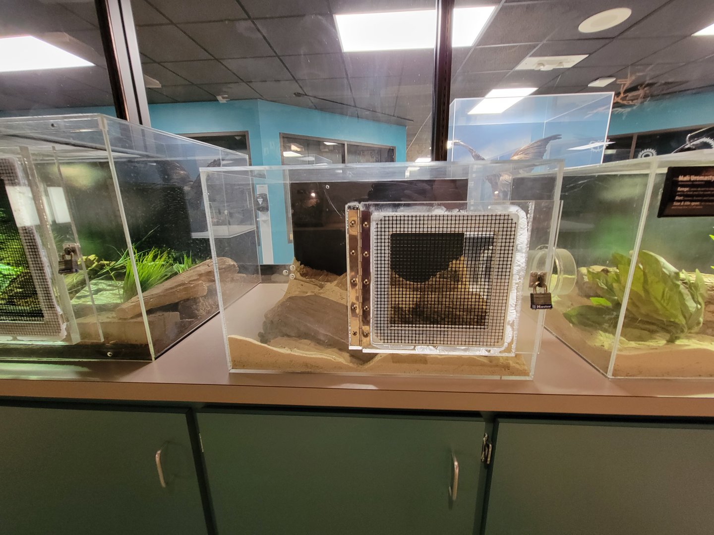 Greensboro 2/2023 - Herpetology Lab, empty