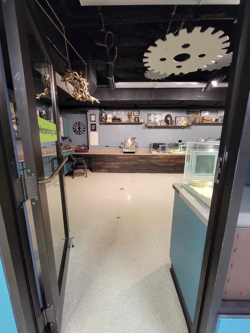 Greensboro 2/2023 - Herpetology Lab