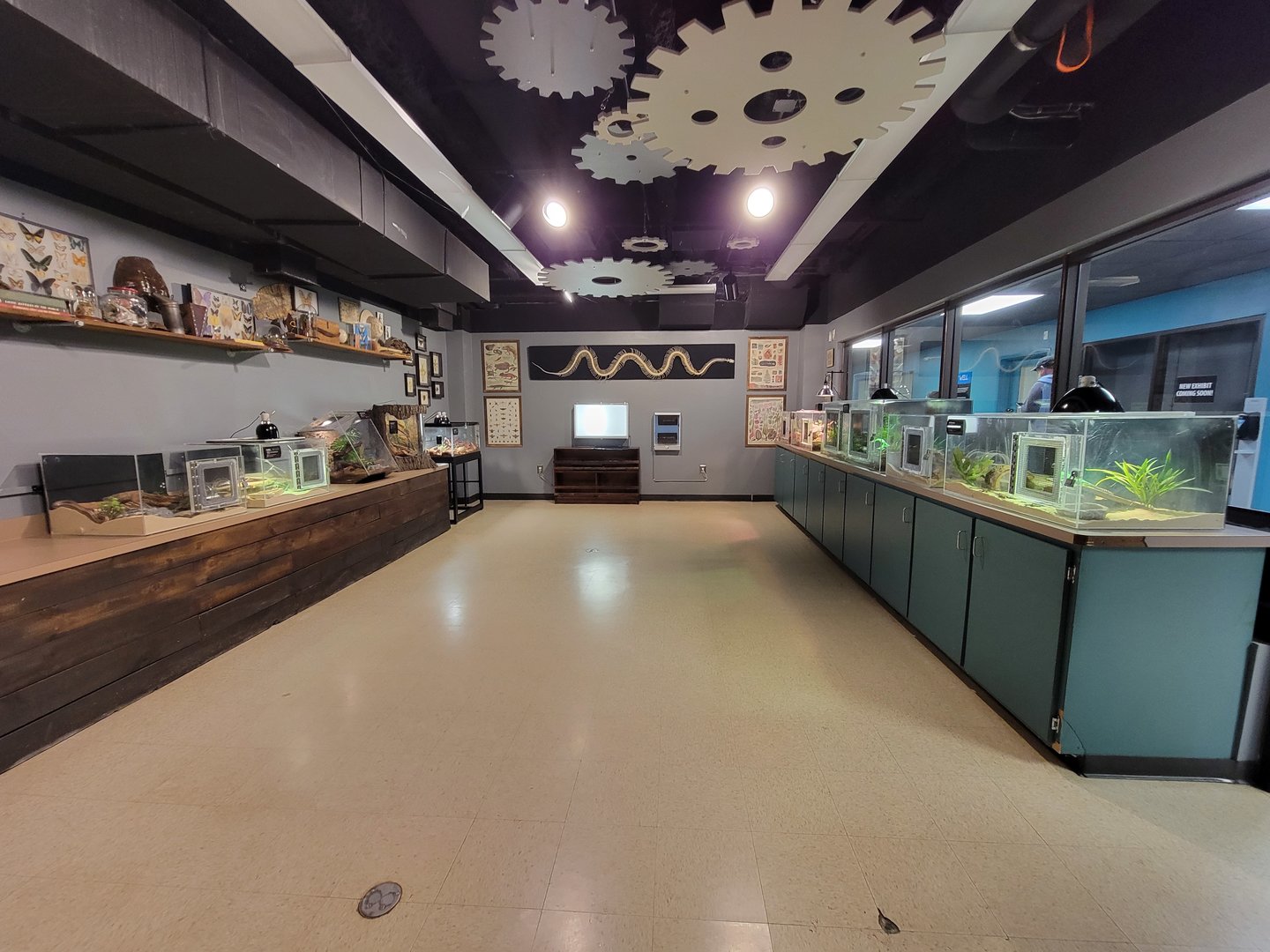 Greensboro 2/2023 - Herpetology Lab