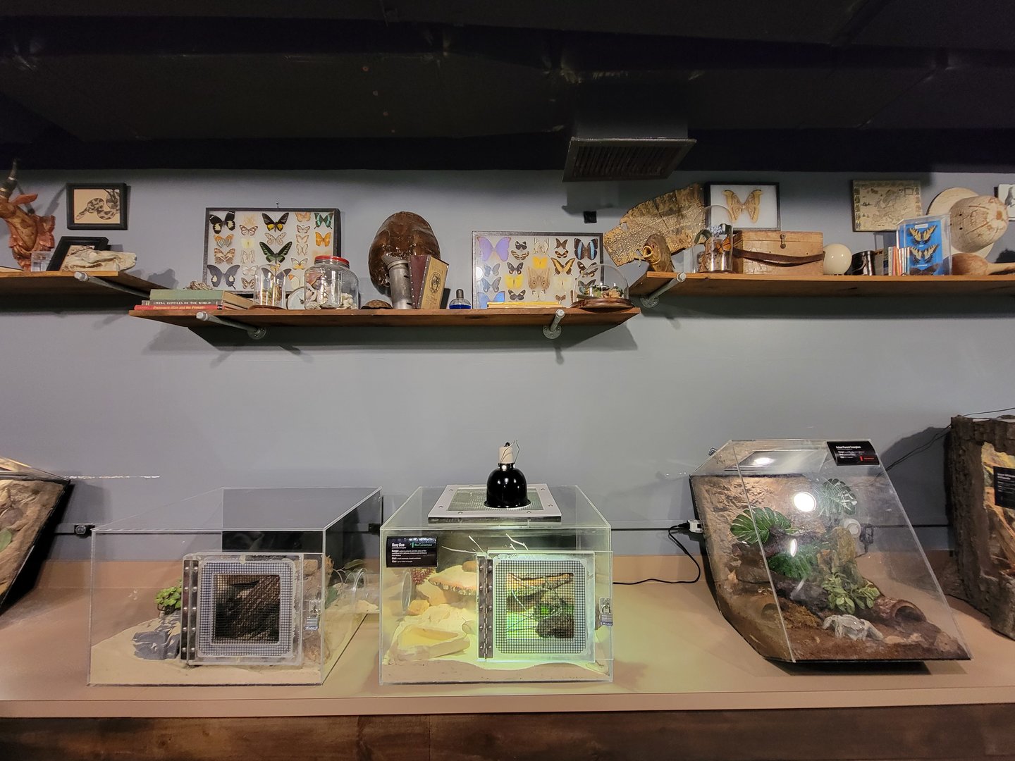 Greensboro 2/2023 - Herpetology Lab