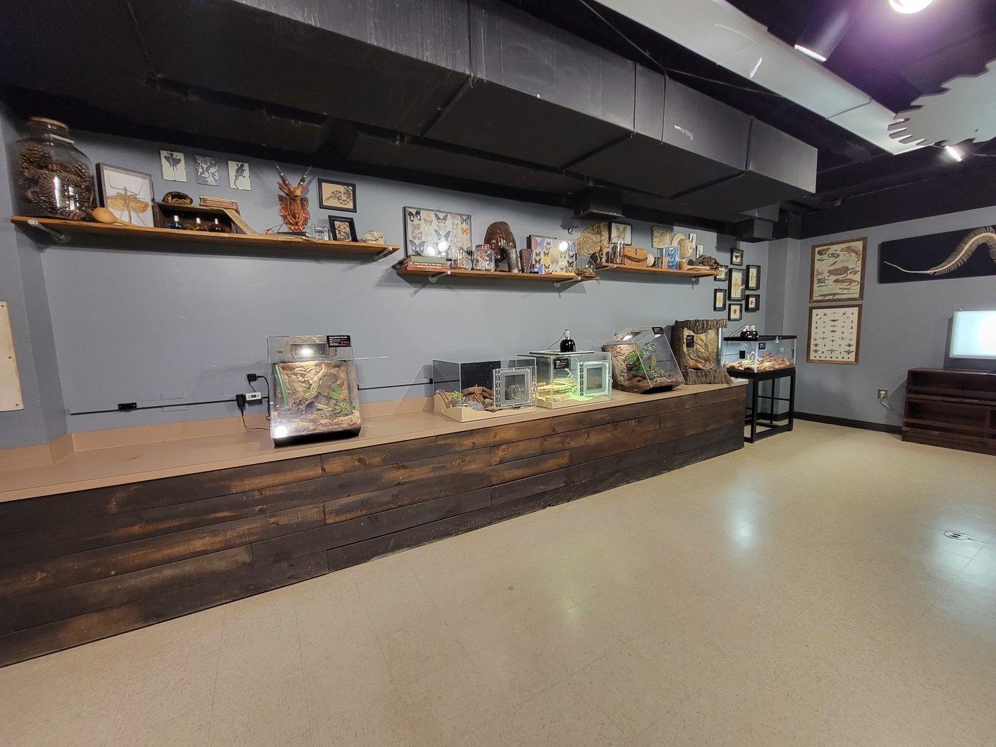 Greensboro 2/2023 - Herpetology Lab