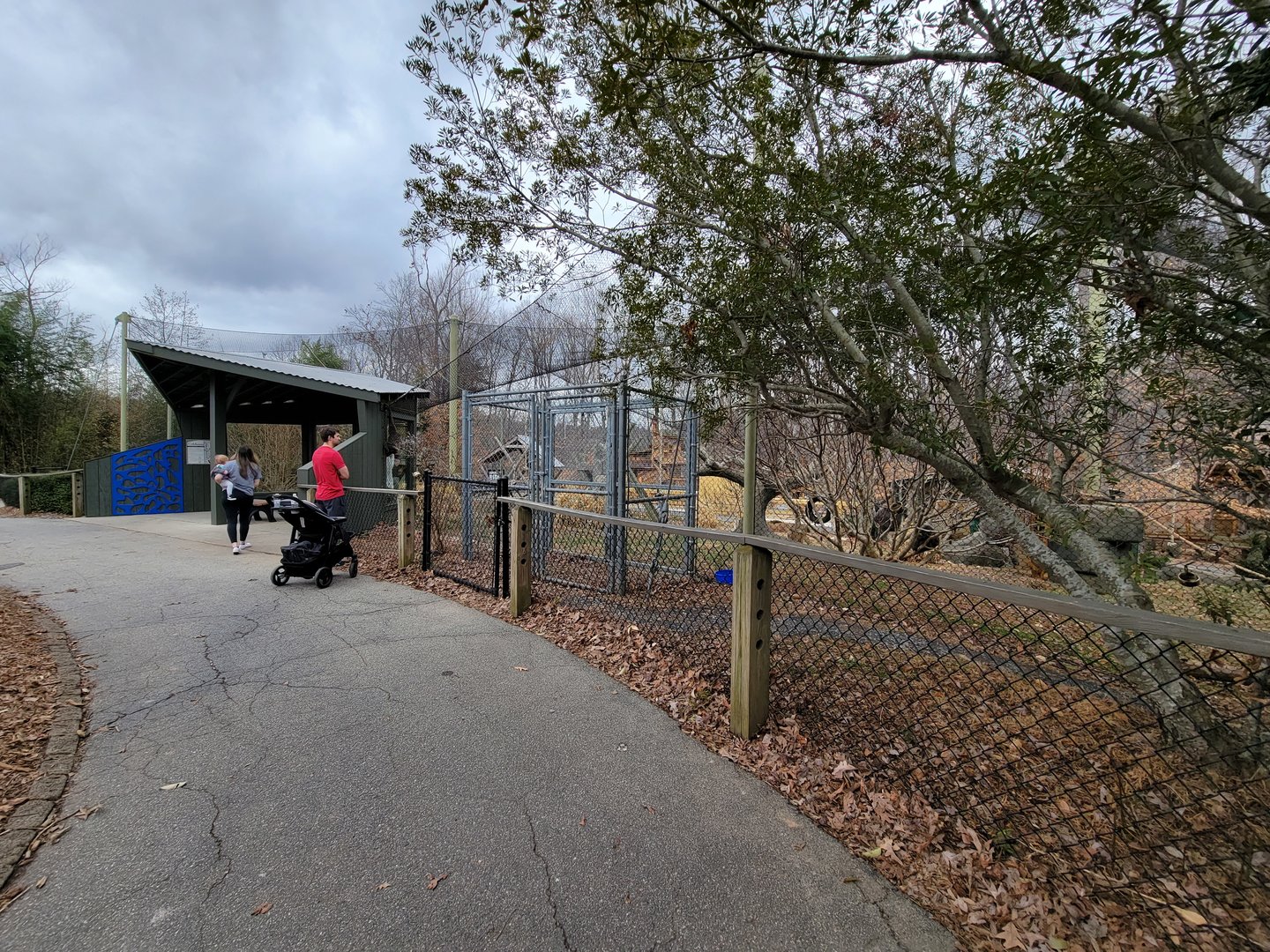 Greensboro 2/2023 - Javan gibbons