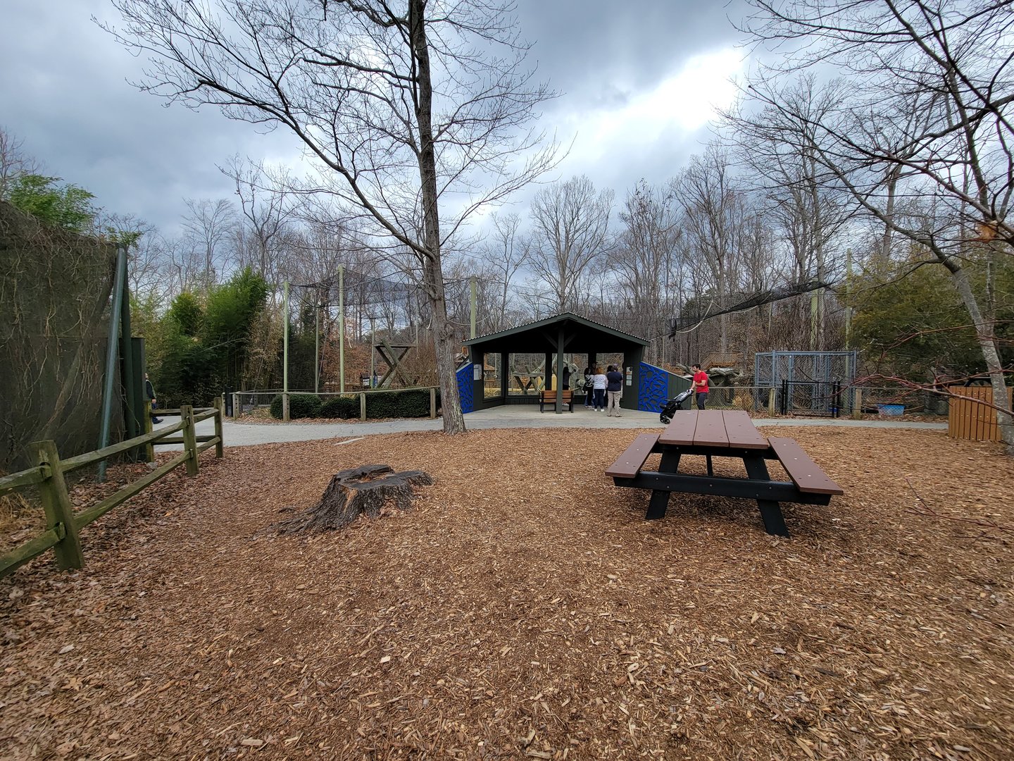 Greensboro 2/2023 - Javan gibbons