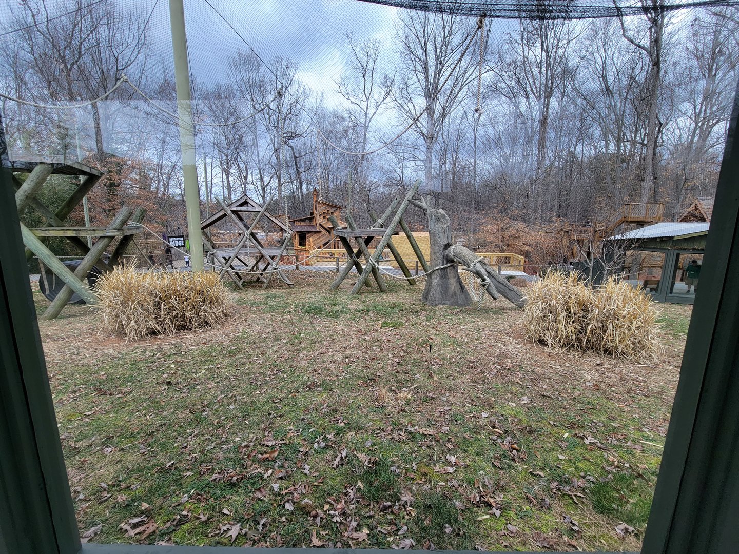 Greensboro 2/2023 - Javan gibbons